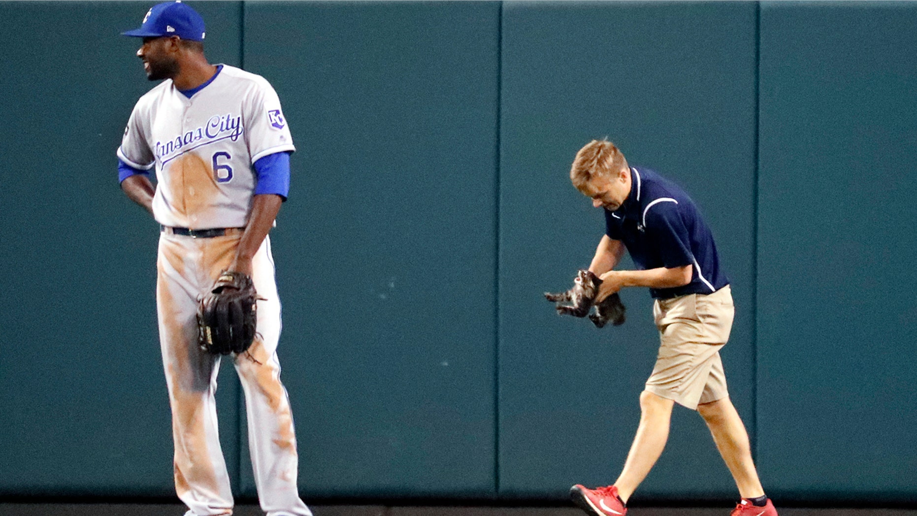 Groundskeeper Lucas Hackmann was hit on the head by a pitch Sunday. Last year, the same groundskeeper was tasked with removing a cat who wandered onto the field.