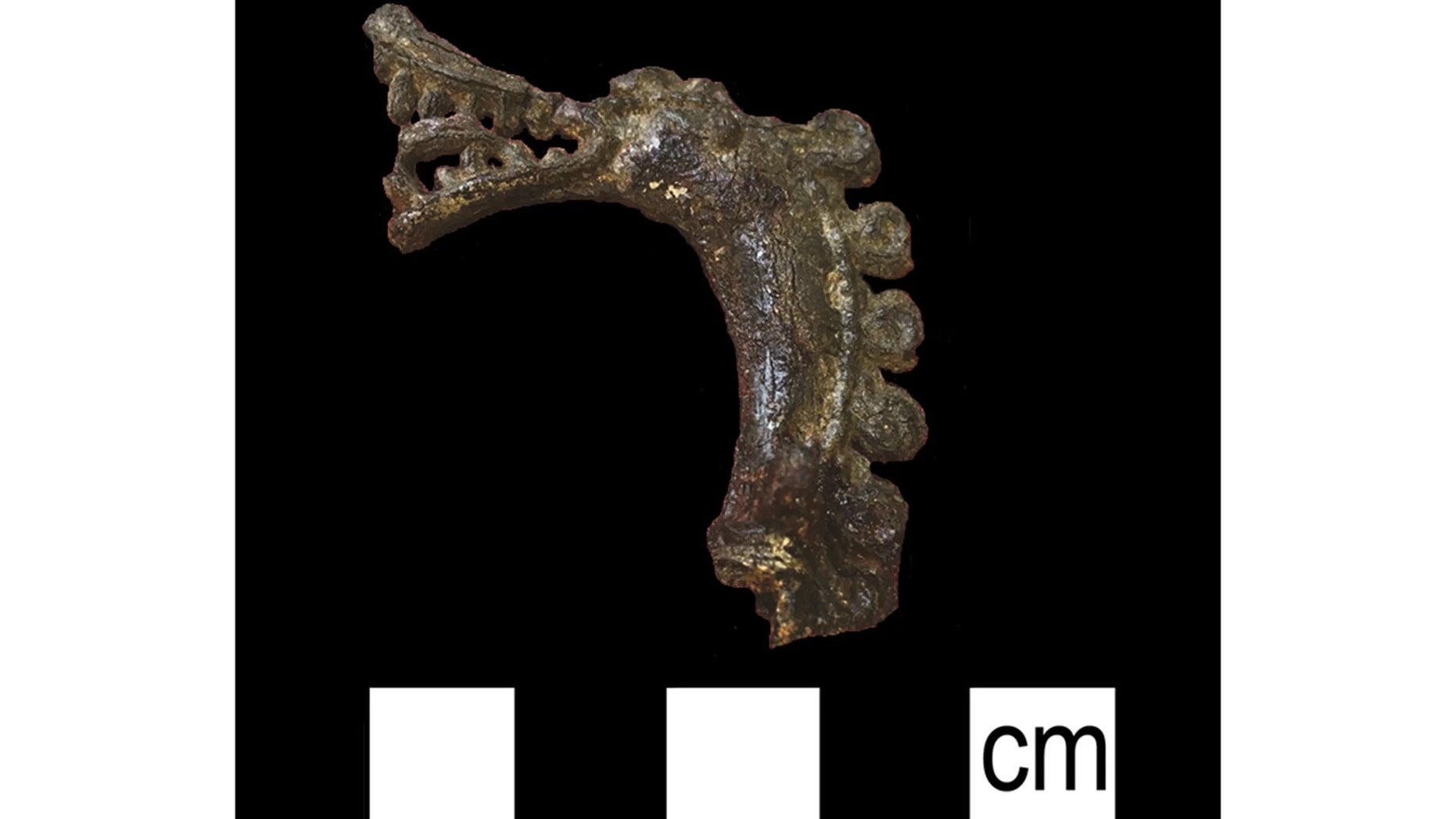 Archaeologists discovered a Viking dragonhead pin made out of lead in Birka, a Viking archeological town in Sweden, in 2015. Credit: Photograph by Lena Holmquist; Antiquity 2018