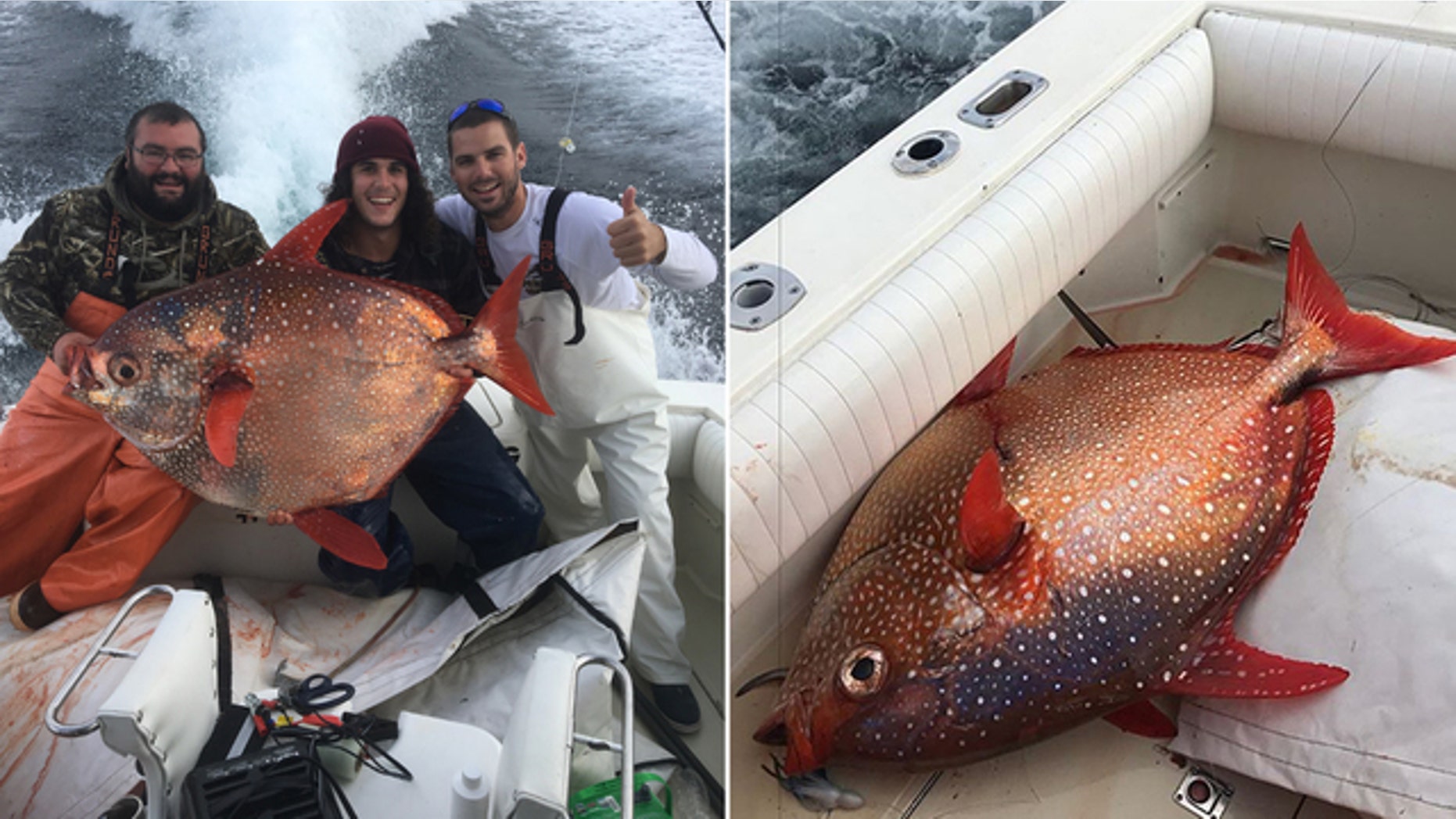 Ensor and his friends might be one the only non-commercial boat to have ever caught an opah in Ocean City.
