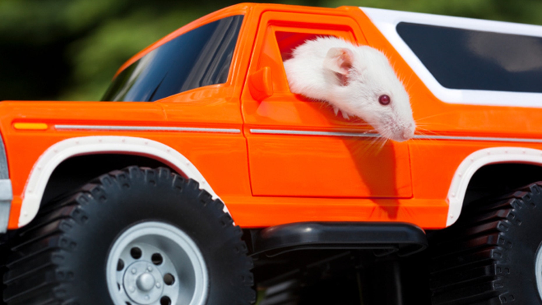 consumer reports most reliable cars consumer reports most reliable cars
