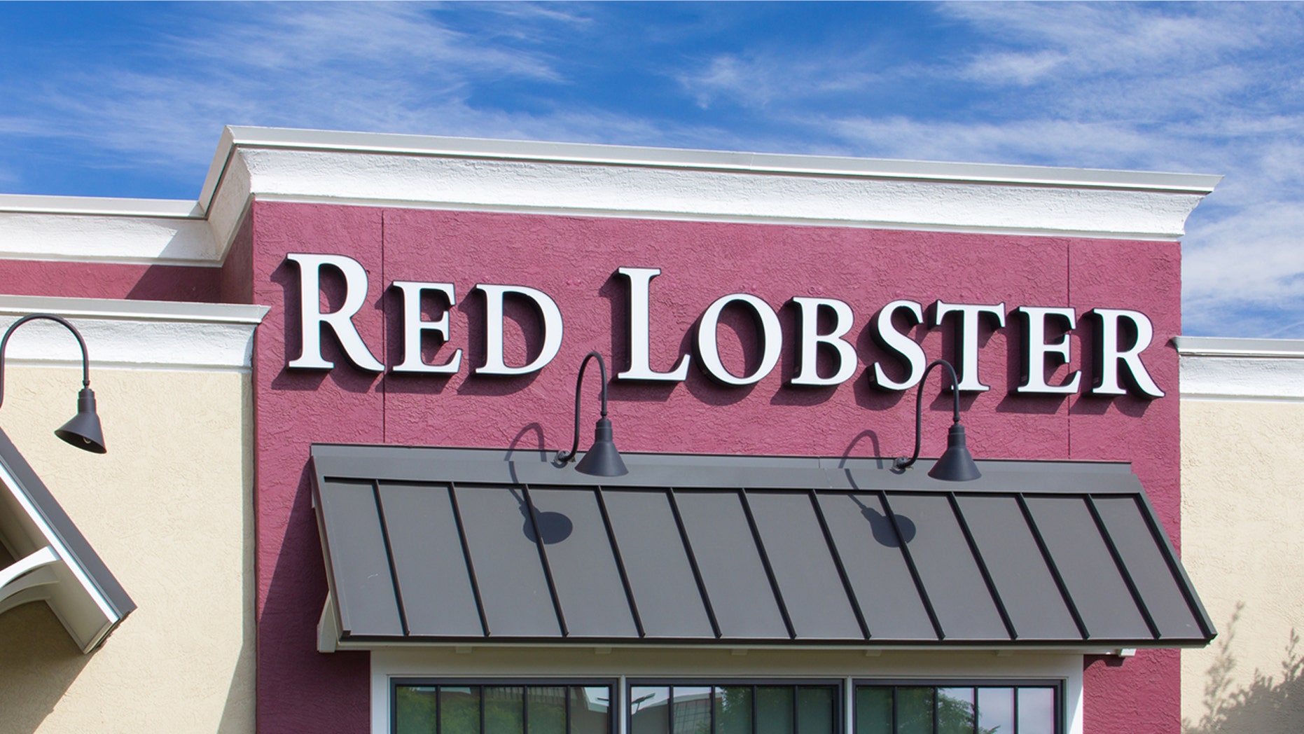 Fans are going crazy for the new Cheddar Bay Biscuit item.