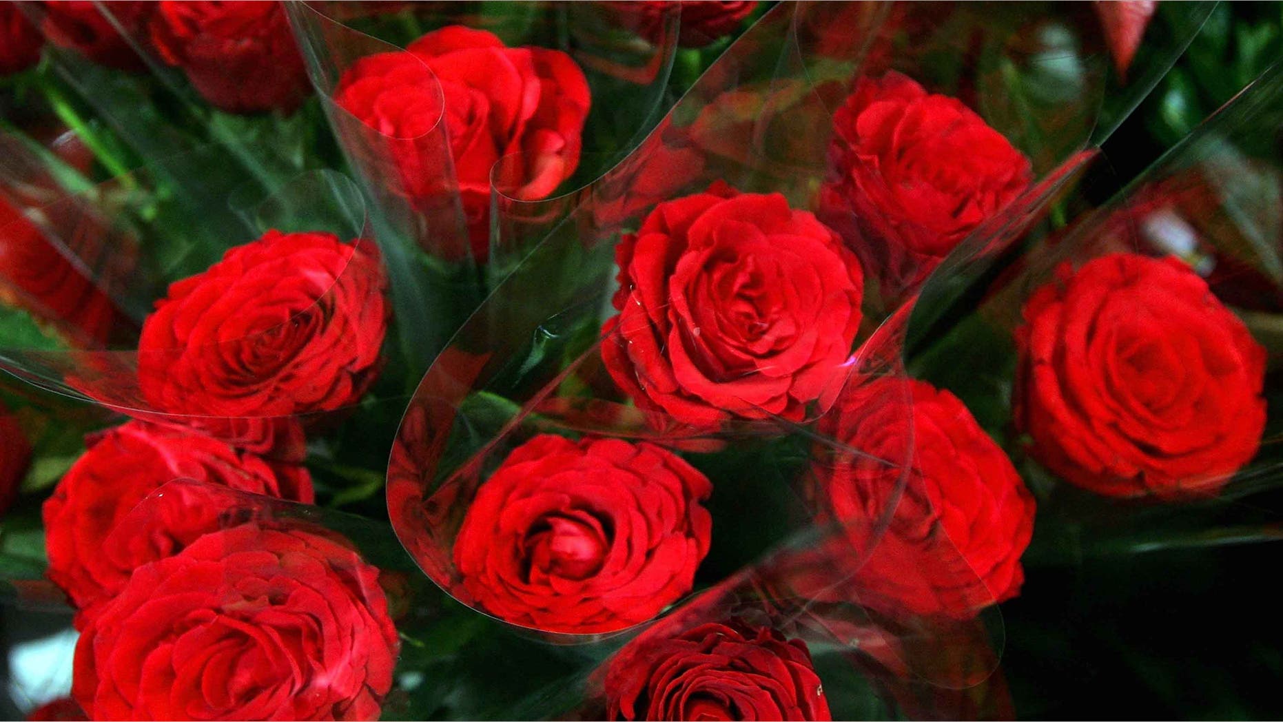 SYDNEY, AUSTRALIA - FEBRUARY 14: Red roses are seen on display at a florist on Valentine's Day, February 14, 2008 in Sydney, Australia. The day is named after two of 11 officially recognised Early Christian martyrs named Valentine, namely Valentine of Rome and Valentine of Terni, and has been associated with love and romance since Chaucer's 1382 writings in 'Parlement of Foules' to honour the first anniversary of the engagement of King Richard II of England to Anne of Bohemia. (Photo by Sergio Dionisio/Getty Images)