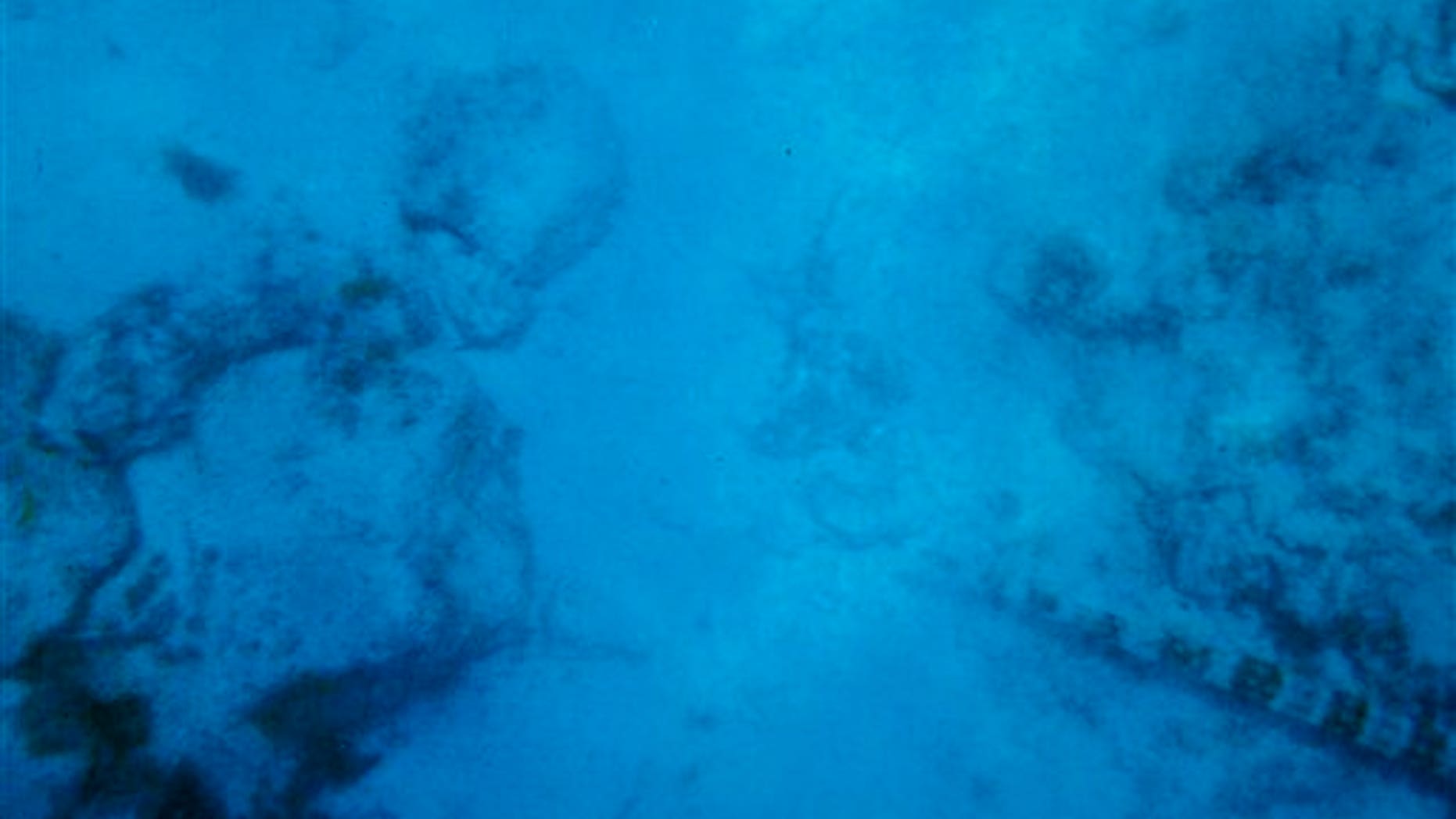 In this October 2009 underwater photo provided by John F. Muldowney, shows a portion of the ocean floor off the coast of Aruba. Muldowney feels the photo, taken by his wife, Patti, while the couple was on vacation in Aruba, may show the remains of Natalee Holloway, the Alabama honors student who disappeared in Aruba nearly five years ago. (AP Photo/Patti Muldowney)