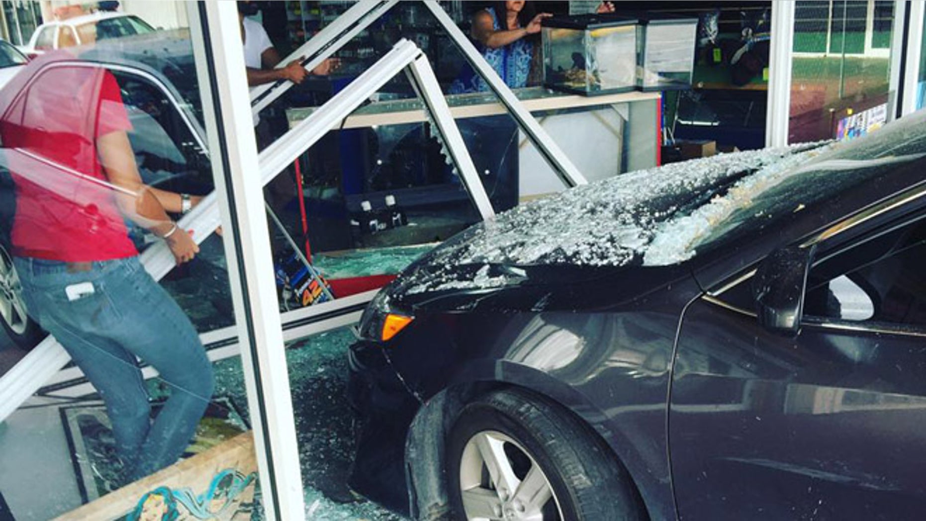 A car crashed Wednesday into a shop in Hialeah, Florida, that sells reptiles. (Subhan Malik)