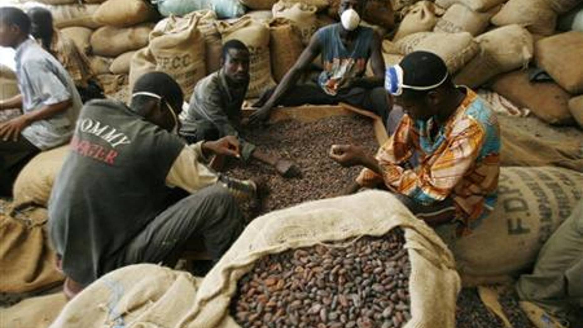 Men grade cocoa beans in a warehouse in Gonate, western Ivory Coast.