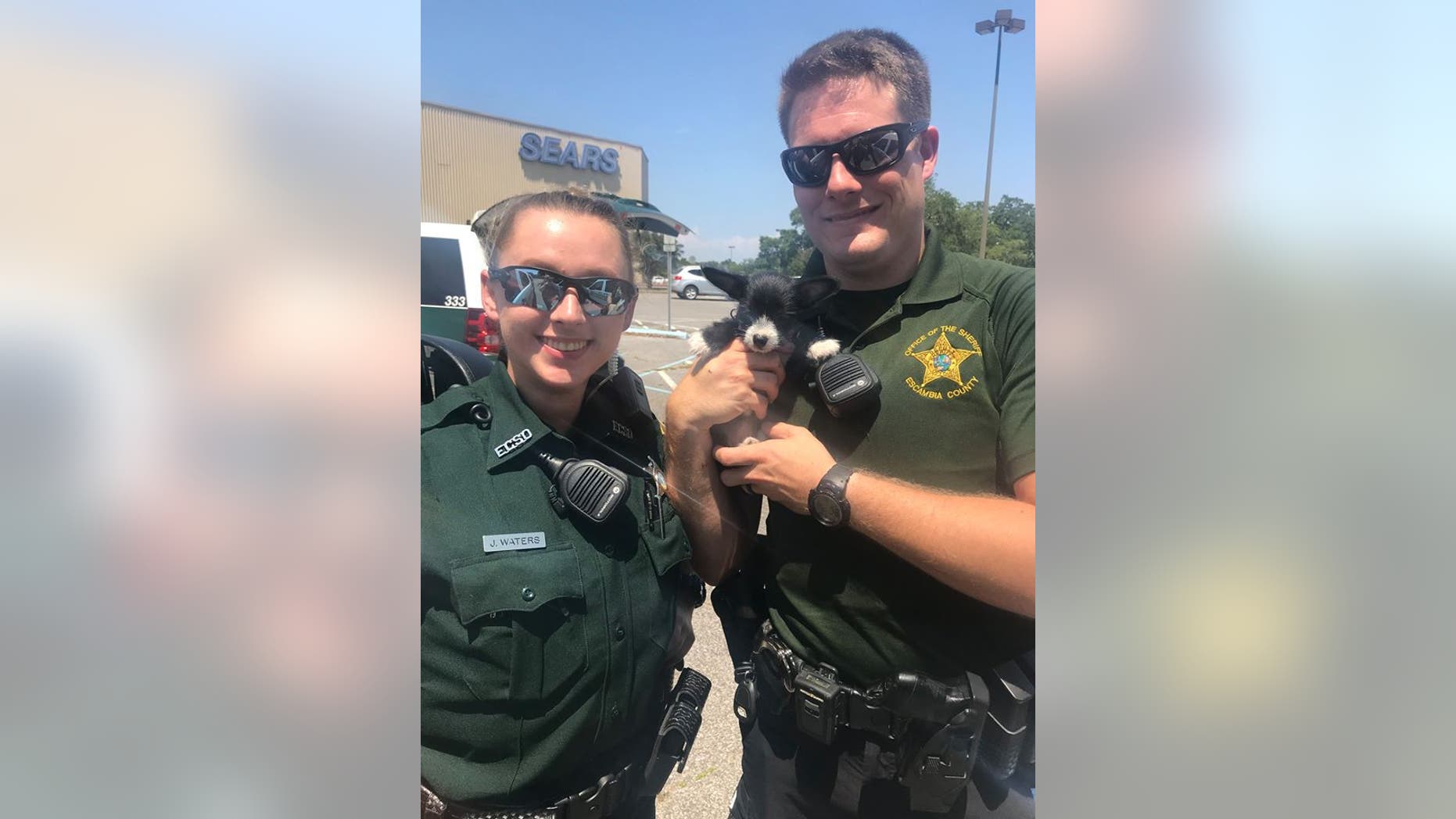 The deputy and deputy trainee rescued the puppy from the hot car on Saturday.