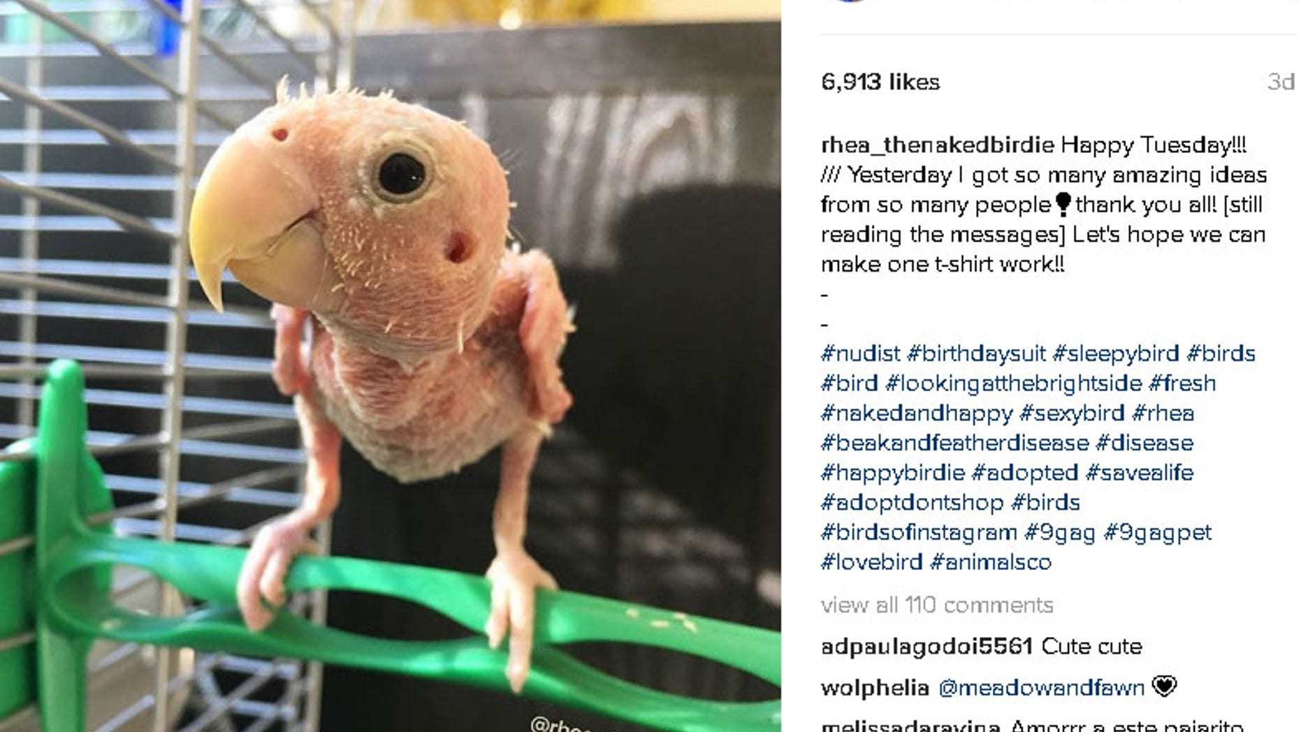 (Instagram/rhea_thenakedbirdie)