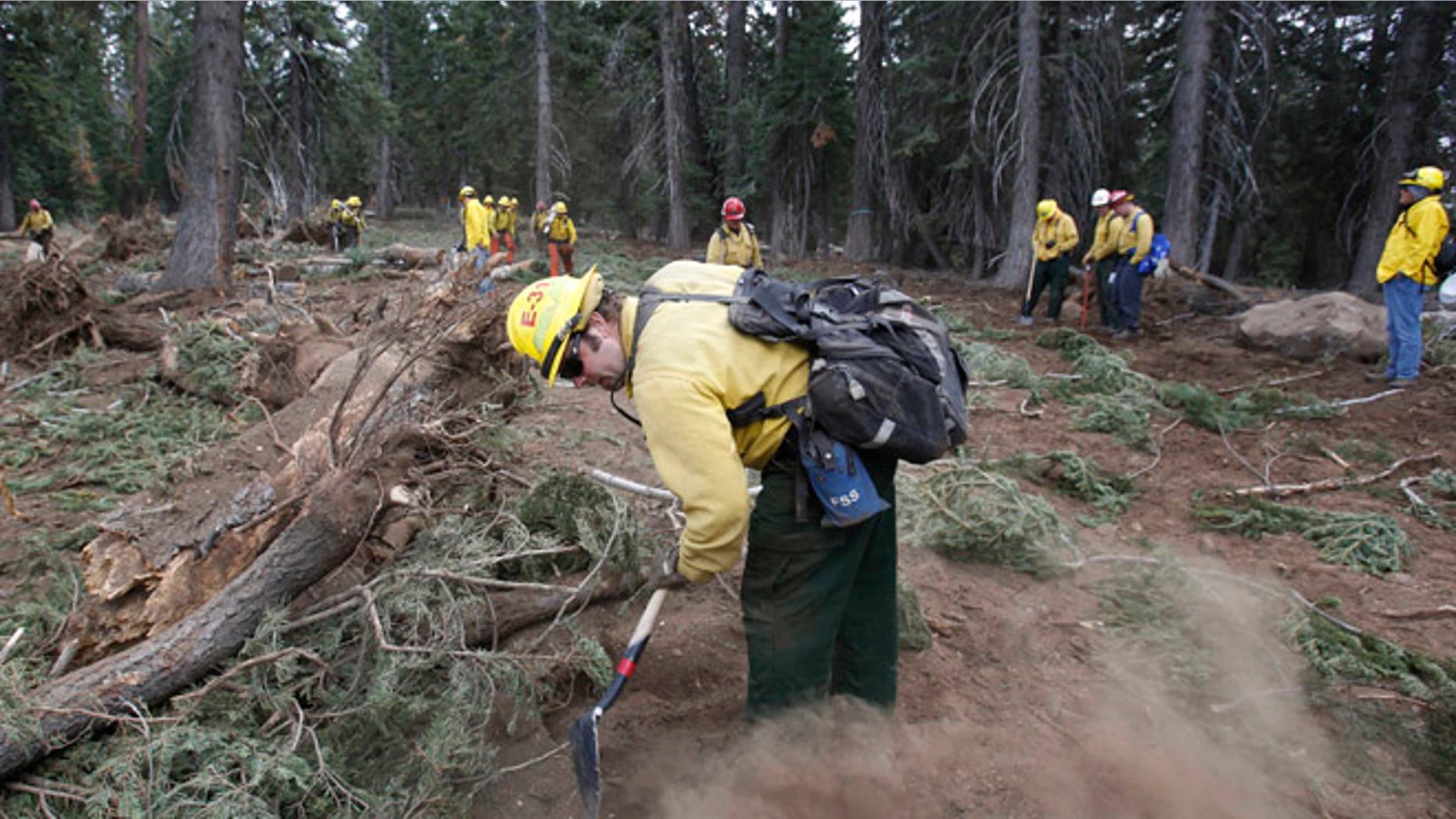 Sept. 25, 2013: Scott Small, and other National Forest Service crew members work to restore terrain that was bulldozed for a firebreak in the battle against Rim Fire on a nordic ski trail along Dodge Ridge in the Stanislaus National Forest, near Tuolumne City, Calif. (AP)