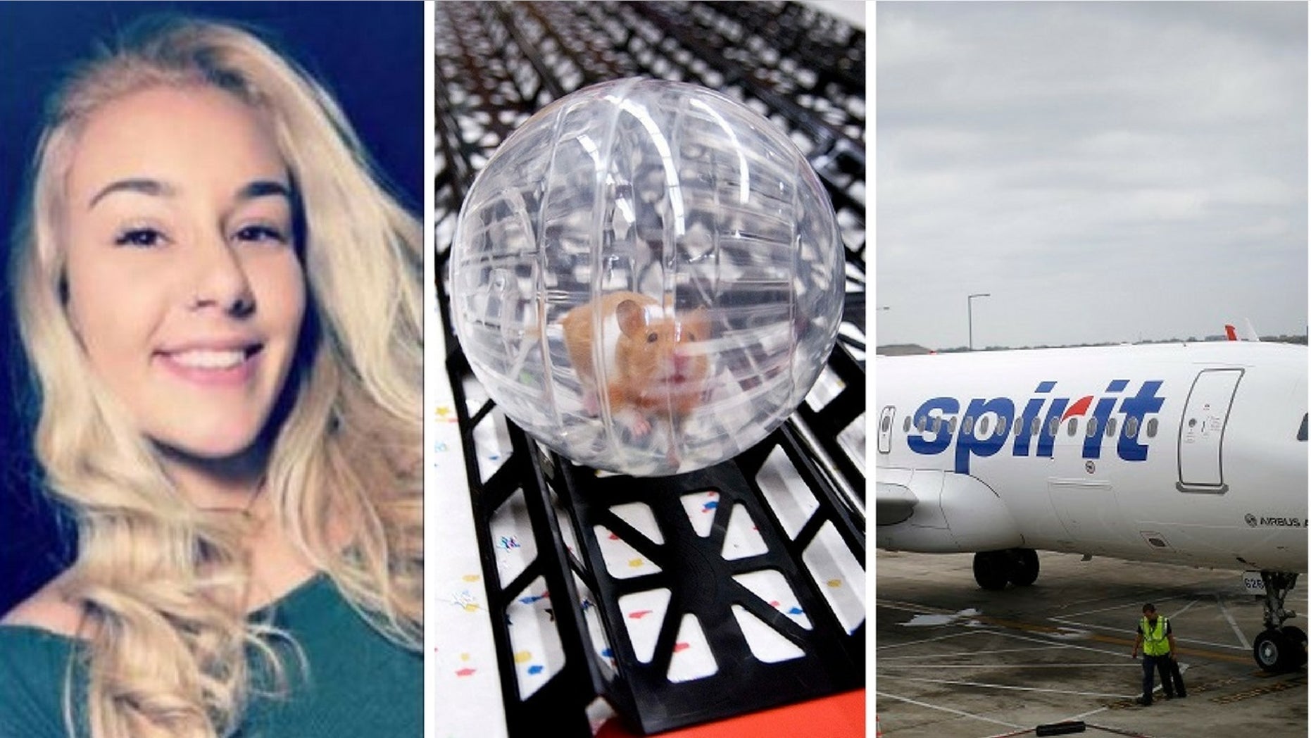 Belen Aldecosea said she flushed her emotional support hamster down the toilet after Spirit Airlines refused her furry pet on the flight.