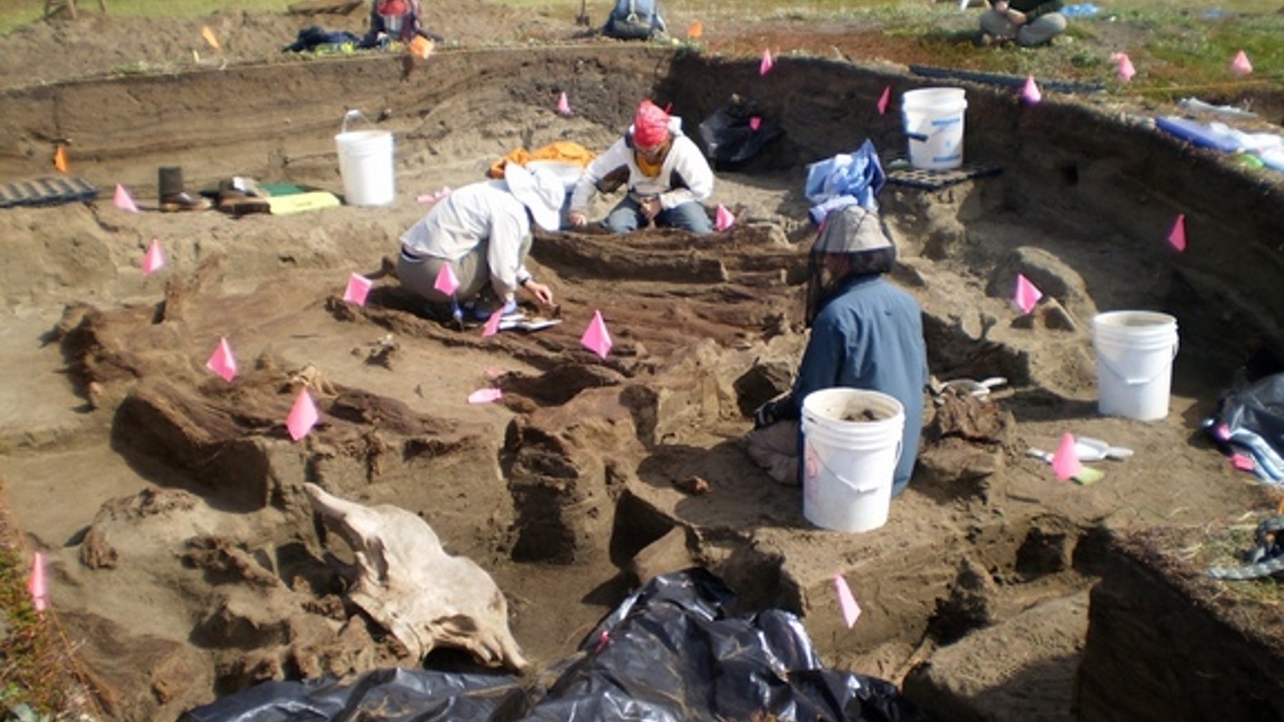 Archaeologists working at the Rising Whale site at Cape Espenberg, Alaska, have discovered several artifacts that were imported from East Asia.