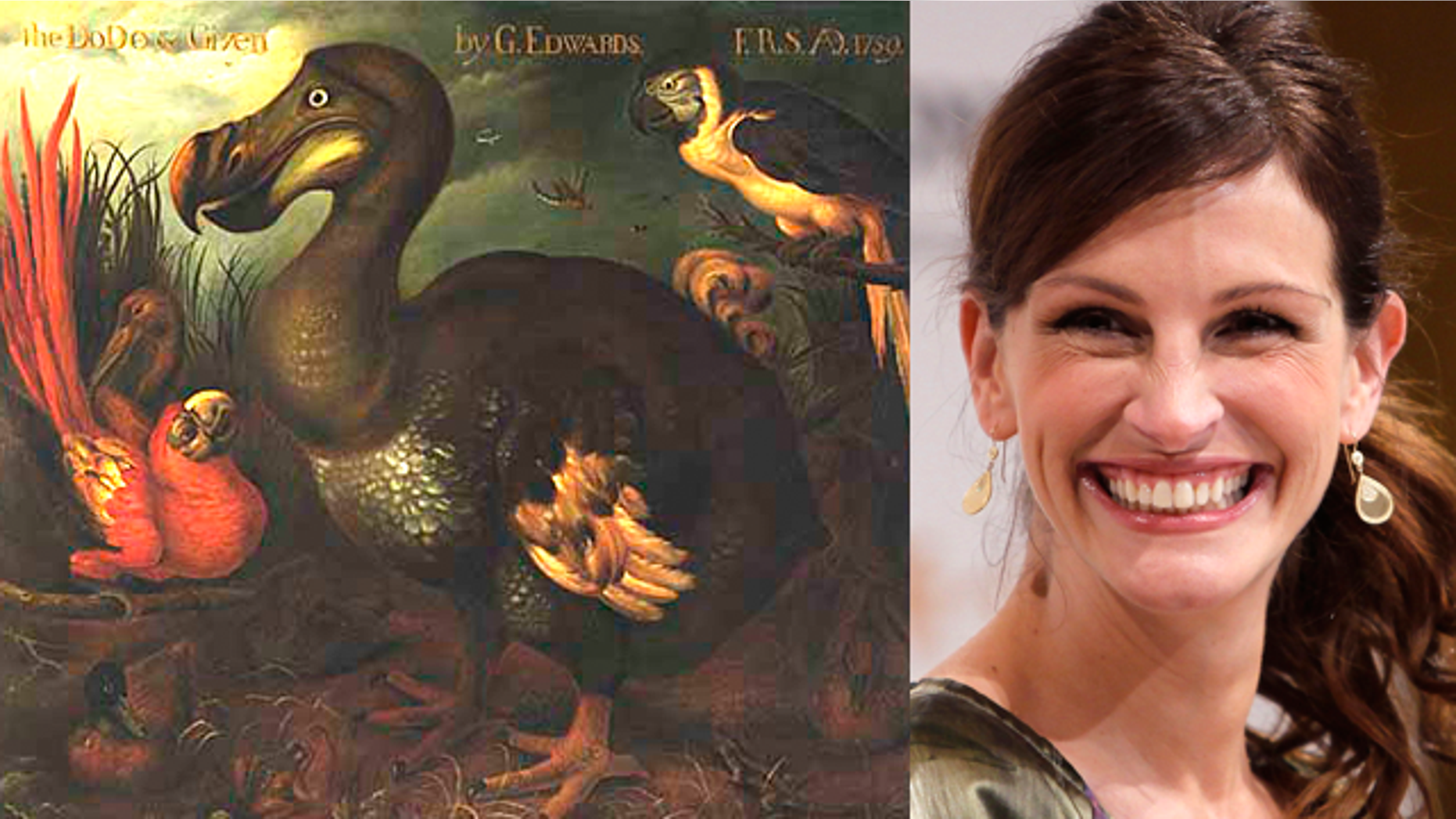 A dodo bird, and Julia Roberts. (Smithsonian/Reuters)
