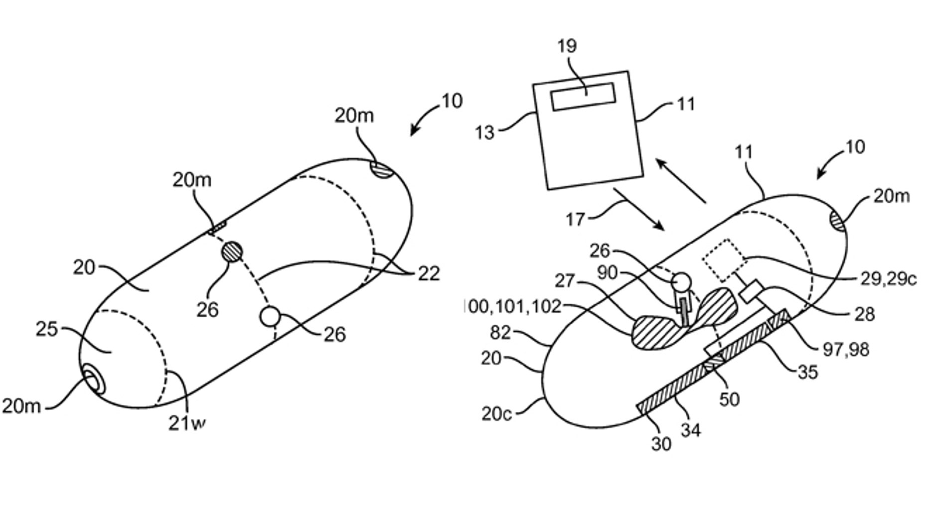 Patent filings detail how a pill could deliver a payload.