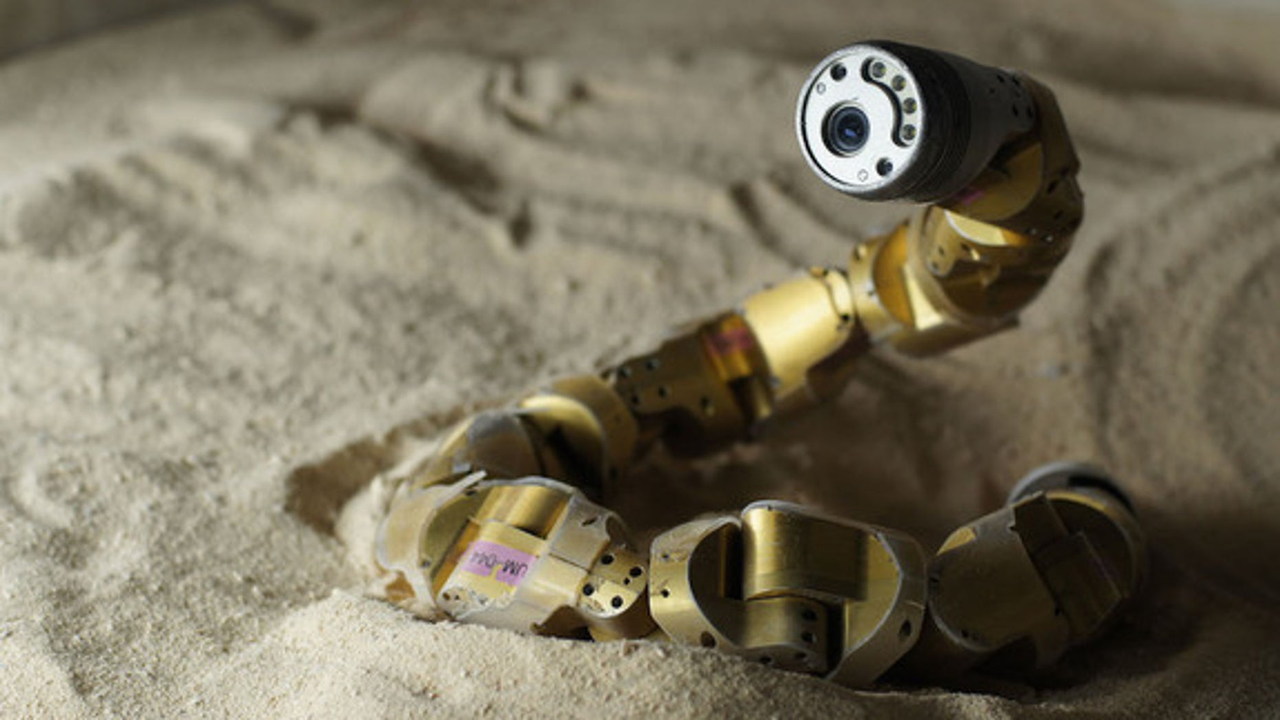Snake robots! Slithering machines could aid search-and-rescue efforts | Fox News