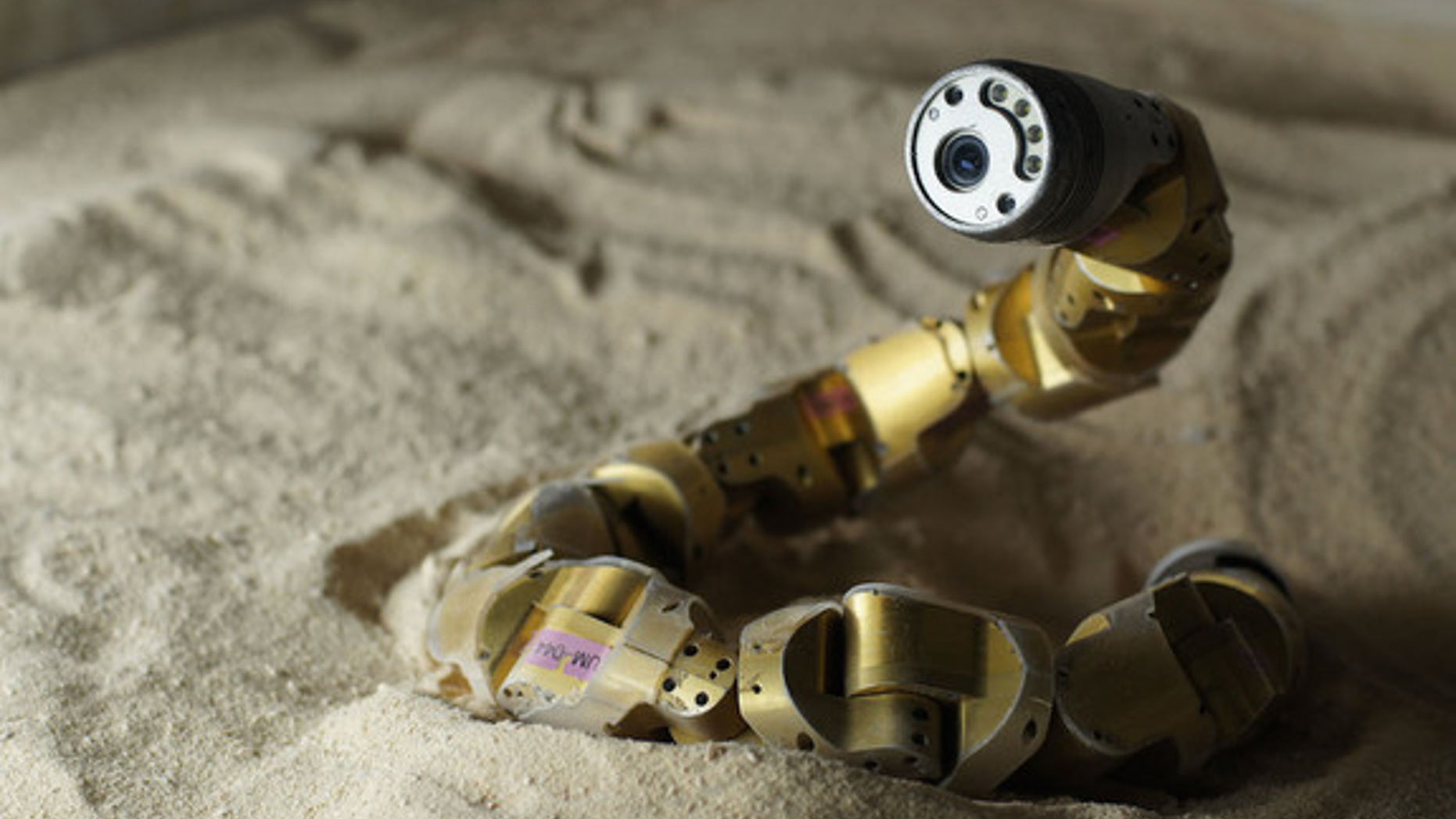 The Carnegie Mellon snake robot has finally mastered the art of slithering up a sandy slope.