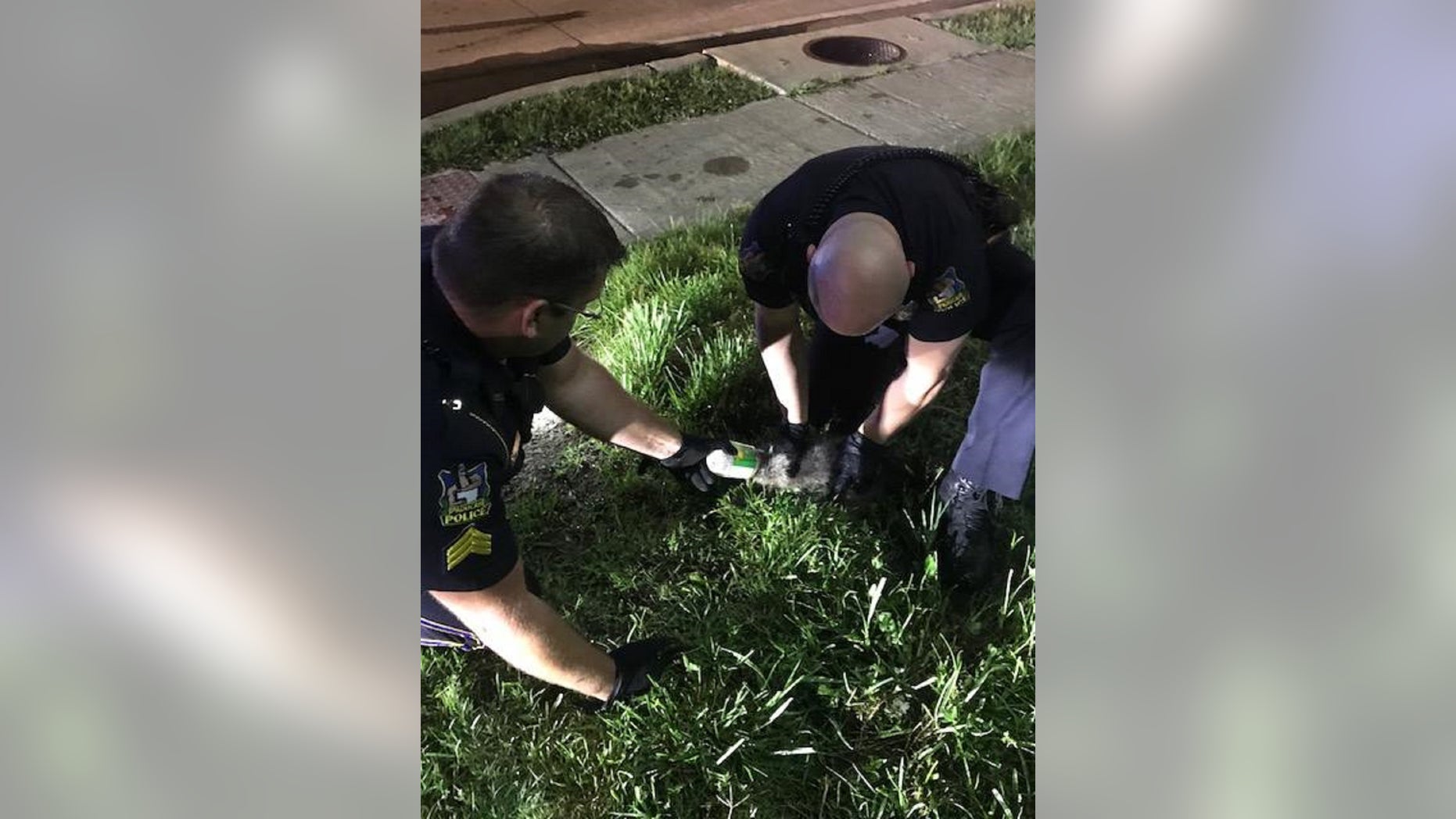 Kentucky police helped out a raccoon whose head was trapped inside a plastic peanut butter jar.