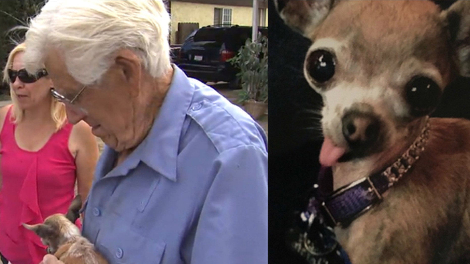 93-year-old World War II veteran Roger LeClair was reunited with his stolen teacup Chihuahua on Saturday.