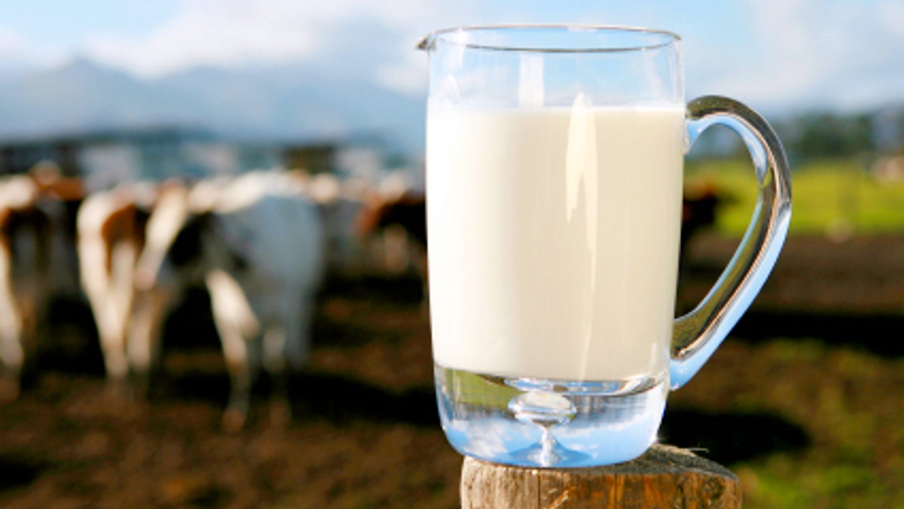 Building blocks of milk, without the cow.