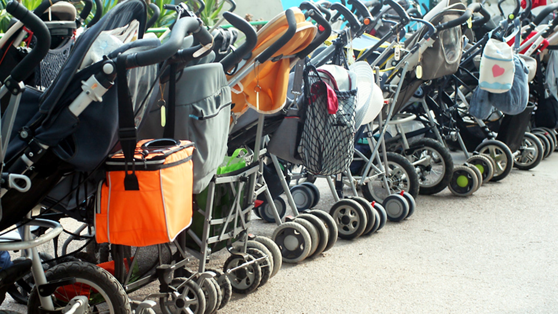 stroller stolen at disneyland