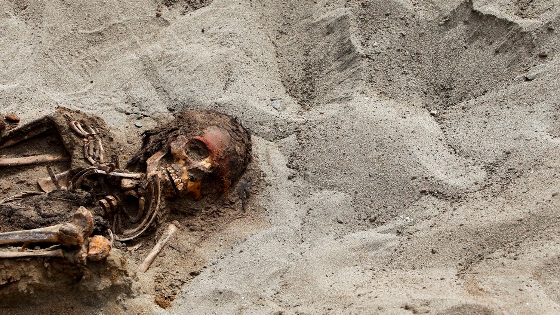 Archaeologists found the remains of 42 children and more than 70 young llamas in 2011, near Trujillo, Peru. By 2016 the number had grown to 140 children and 200 young llamas.