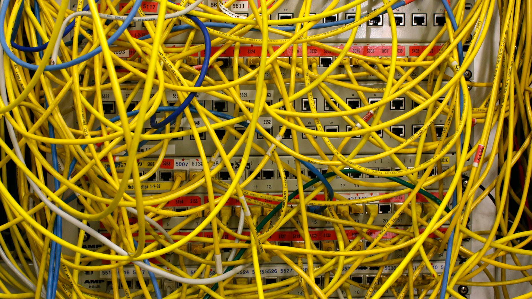 File photo: Ethernet cables used for internet connections are pictured in a Berlin office, August 20, 2014. (REUTERS/Fabrizio Bensch)