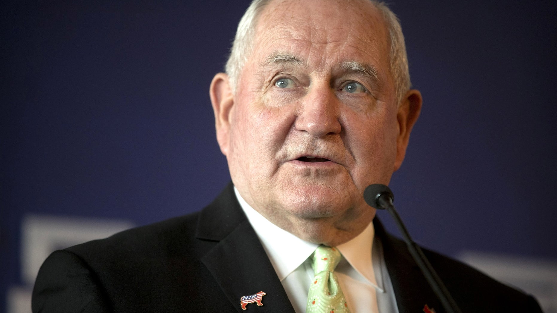 Agriculture Secretary Sonny Perdue was named as the designated survivor for President Trump's first State of the Union address.