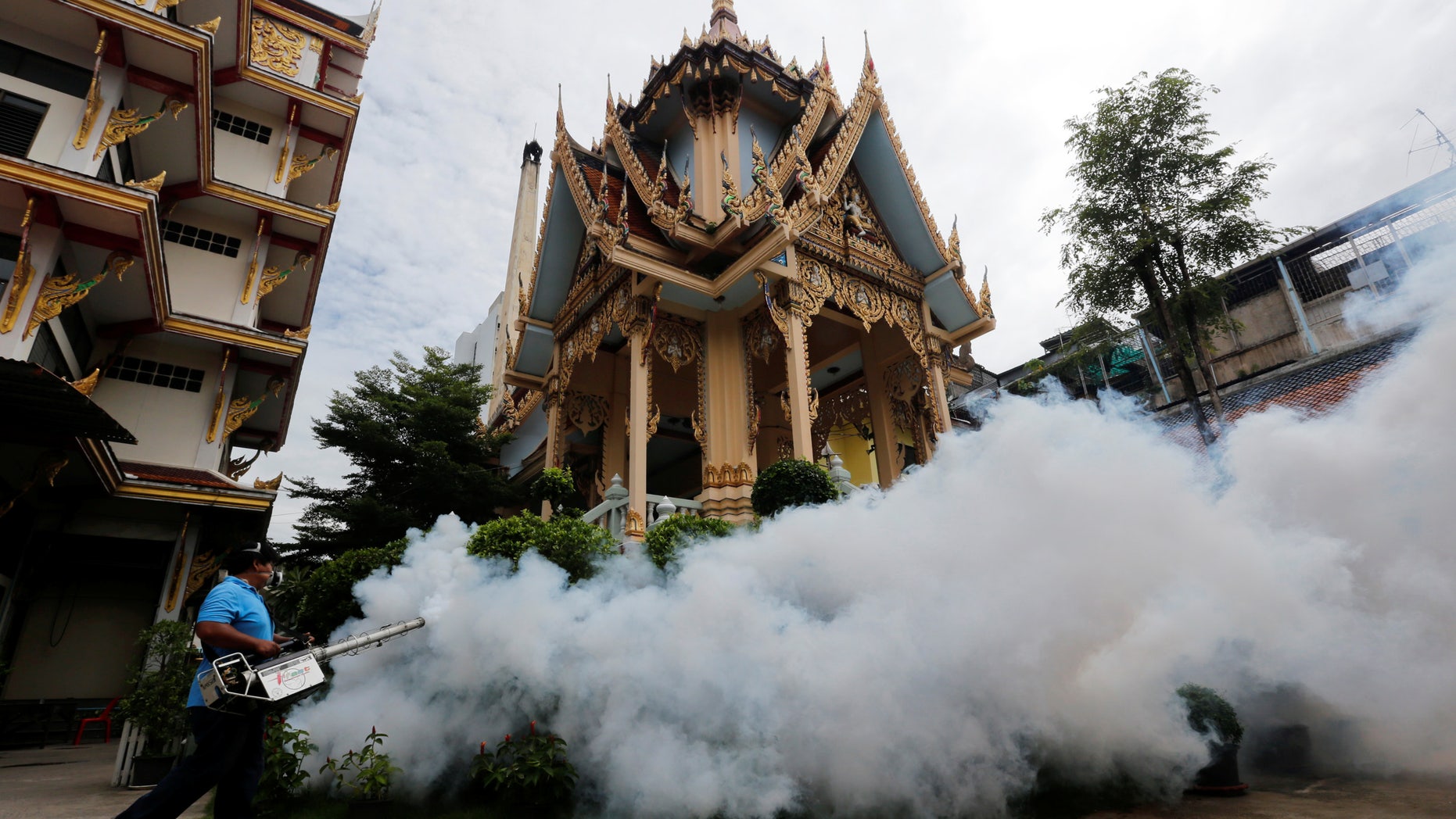A city worker fumigates the area to control the spread of mosquitoes at a temple in Bangkok, Thailand, September 14, 2016. REUTERS/Chaiwat Subprasom - RTSNMX1