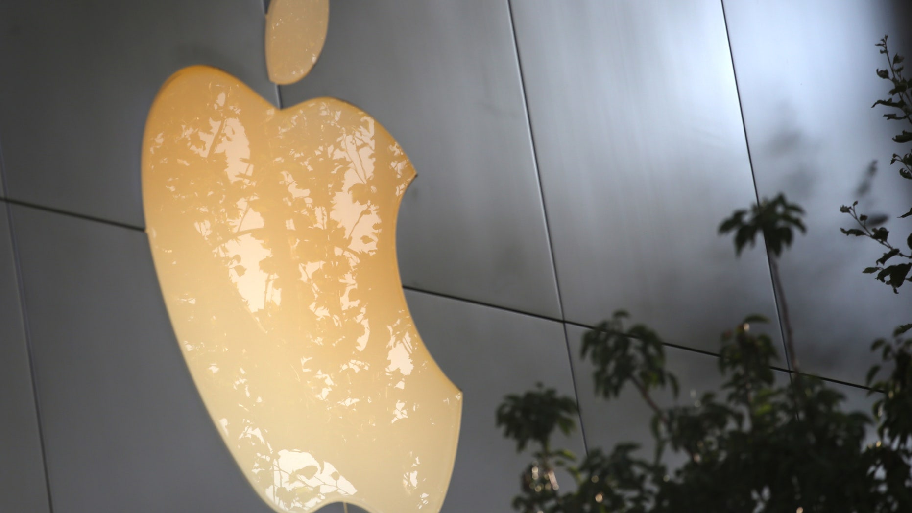 The Apple Inc. store is seen on the day of the new iPhone 7 smartphone launch in Los Angeles, California, U.S., September 16, 2016. (REUTERS/Lucy Nicholson)