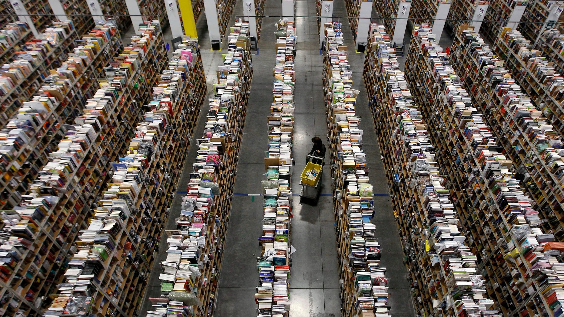 File photo. A worker gathers items for delivery from the warehouse floor at Amazon's distribution center in Phoenix, Arizona November 22, 2013. (REUTERS/Ralph D. Freso)
