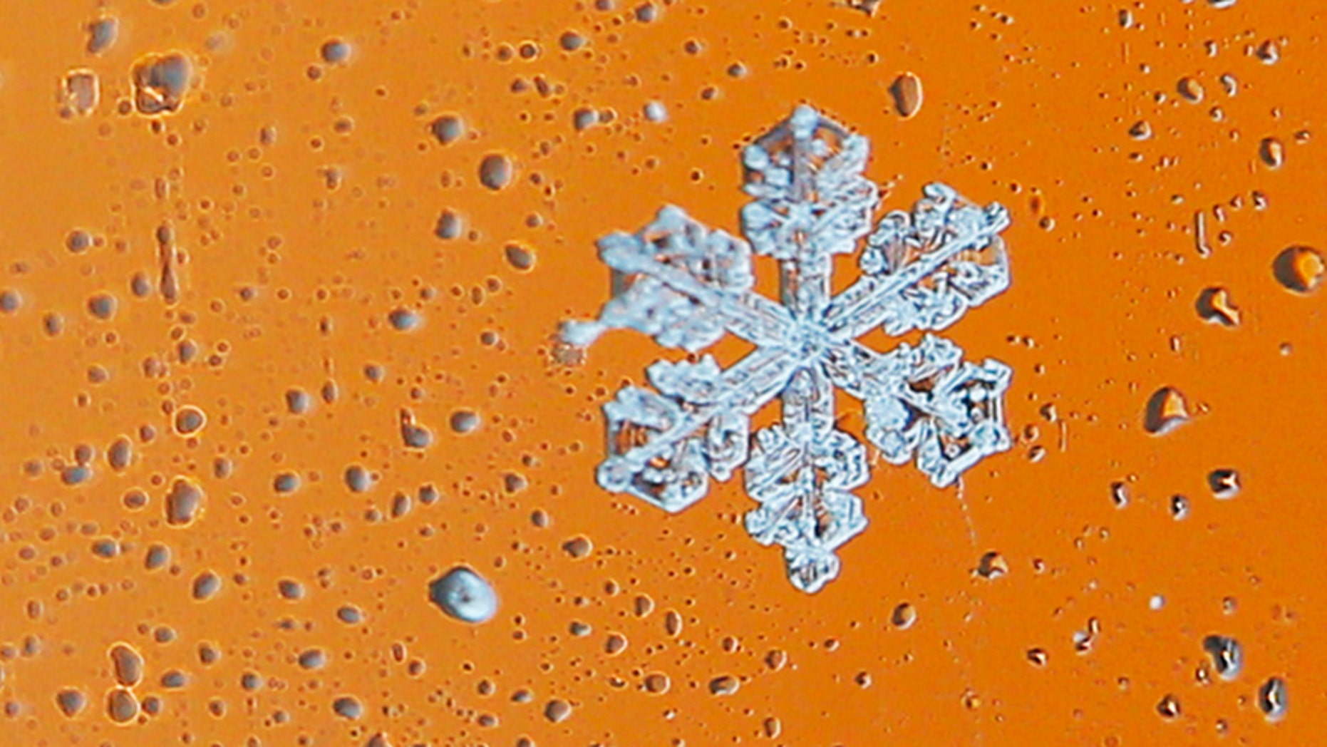 Snowflakes collect on a car window during a winter nor'easter snow storm in Waltham, Massachusetts January 2, 2014. REUTERS/Brian Snyder (UNITED STATES - Tags: ENVIRONMENT TPX IMAGES OF THE DAY) - RTX17080