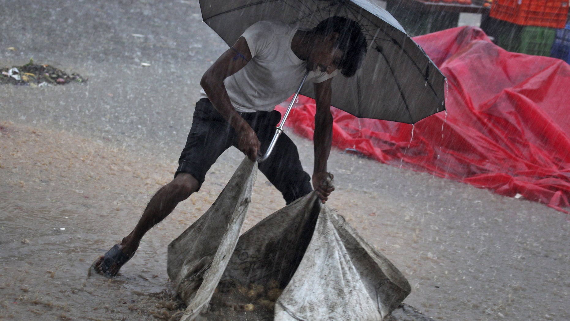 A vendor uses an umbrella as he tries to gather potatoes during a heavy rain shower at a wholesale vegetable market in Chandigarh, India, August 11, 2015.