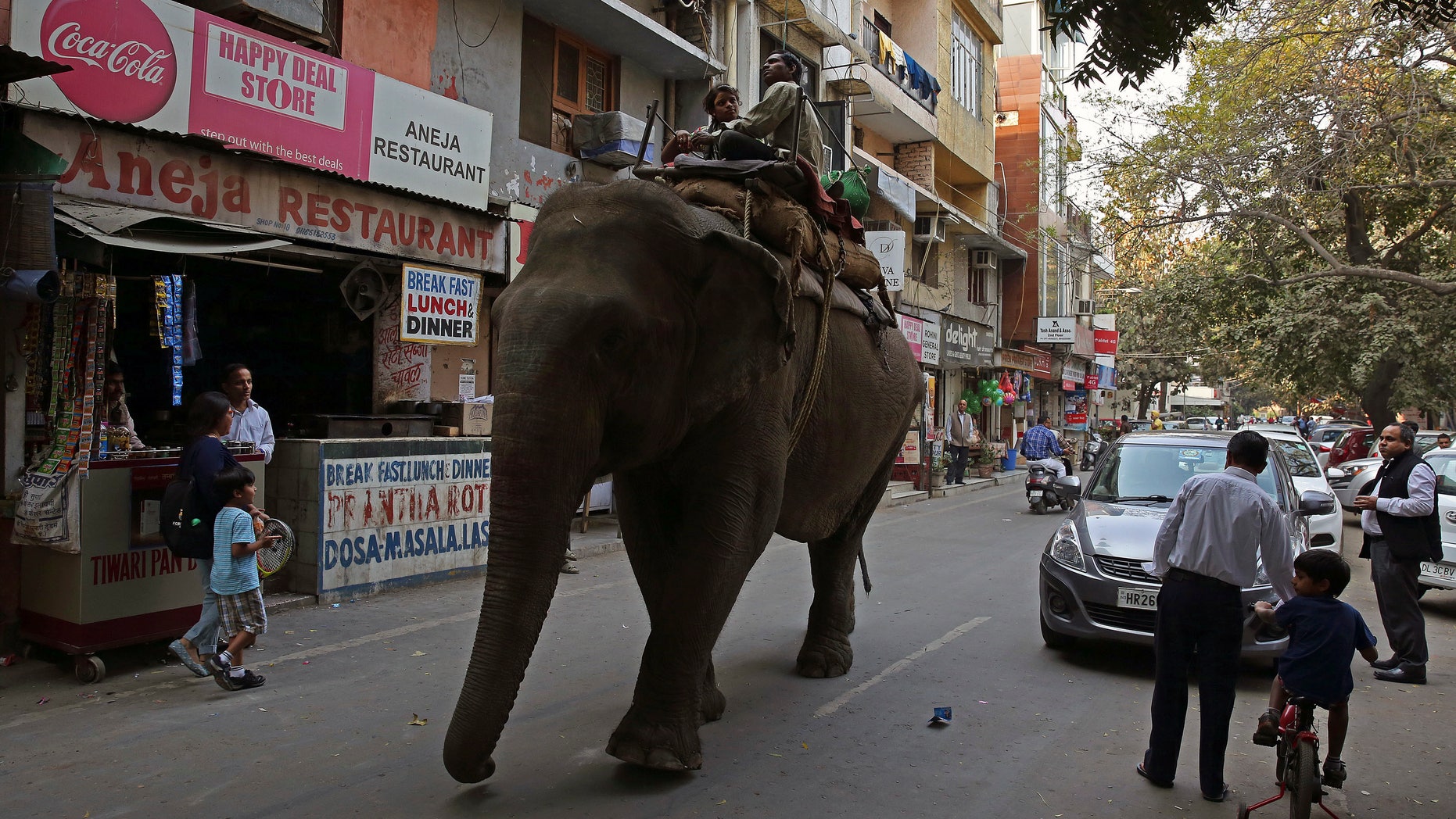 Elephant walks through an Indian village. (Reuters)