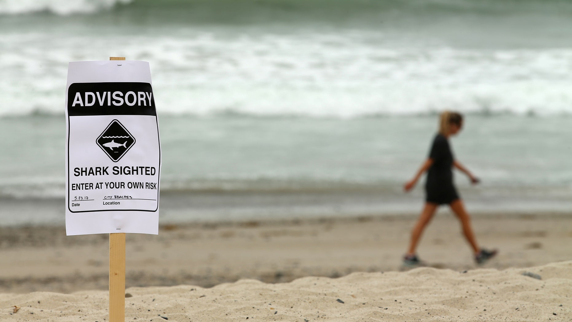 Warning signs placed along the beach to warn swimmers and surfers of recent shark sightings in San Clemente, California, last May.