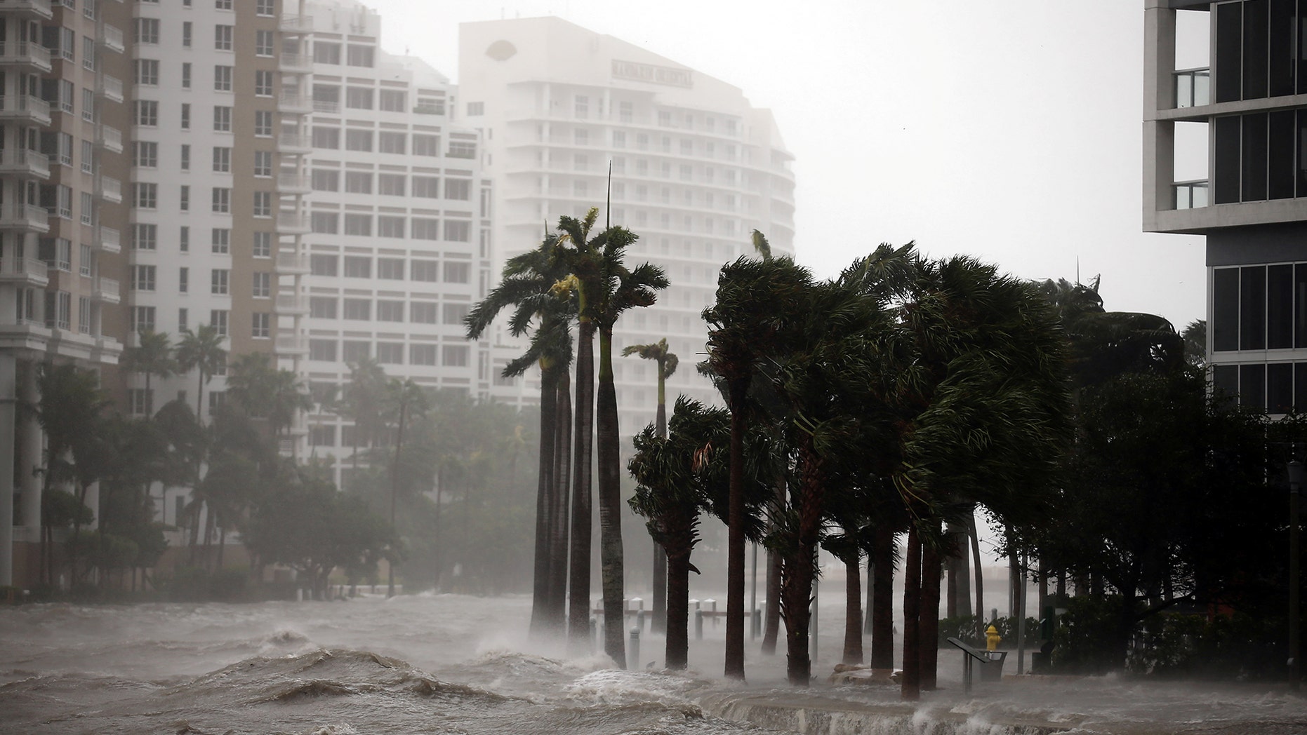 Water rising up to a sidewalk in Miami during Hurricane Irma.