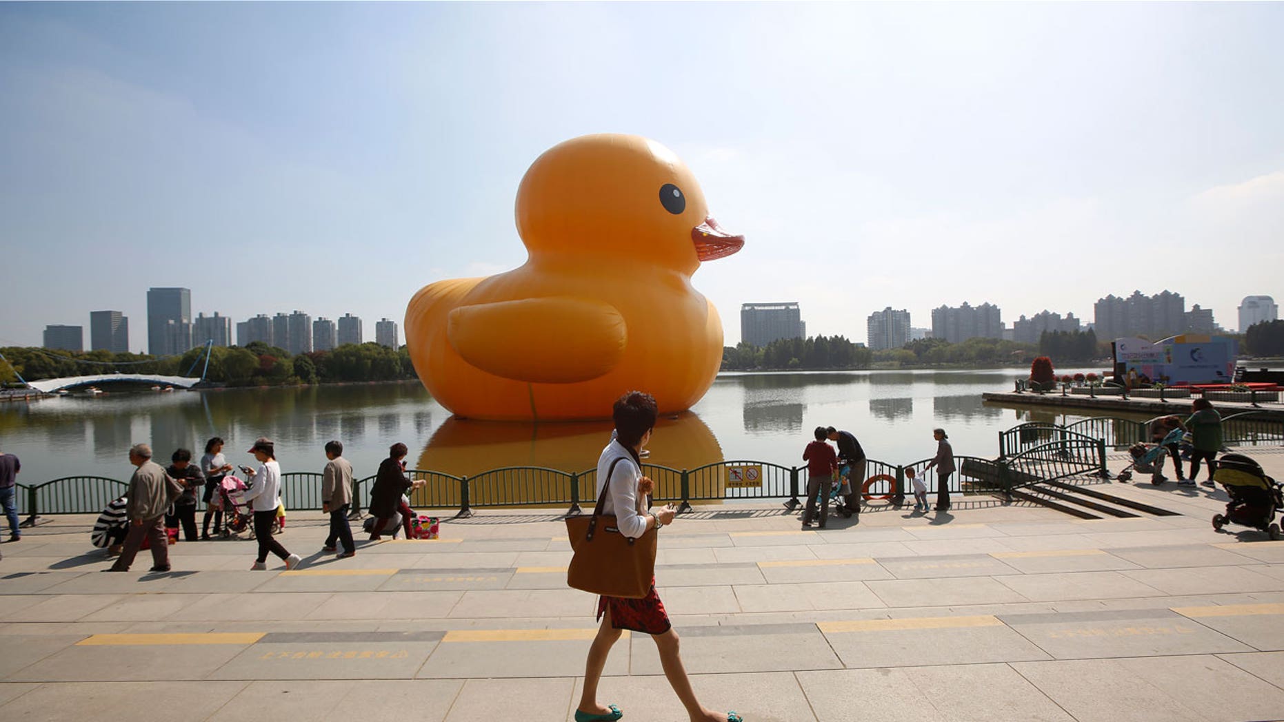 Believe it or not, this isn't the duck Canada has planned. This is a different one.