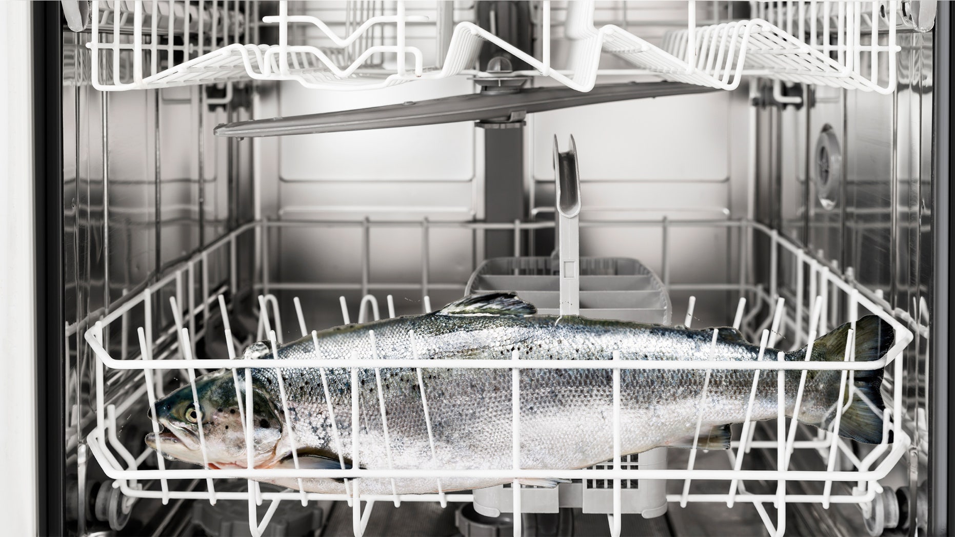 salmon in dishwasher