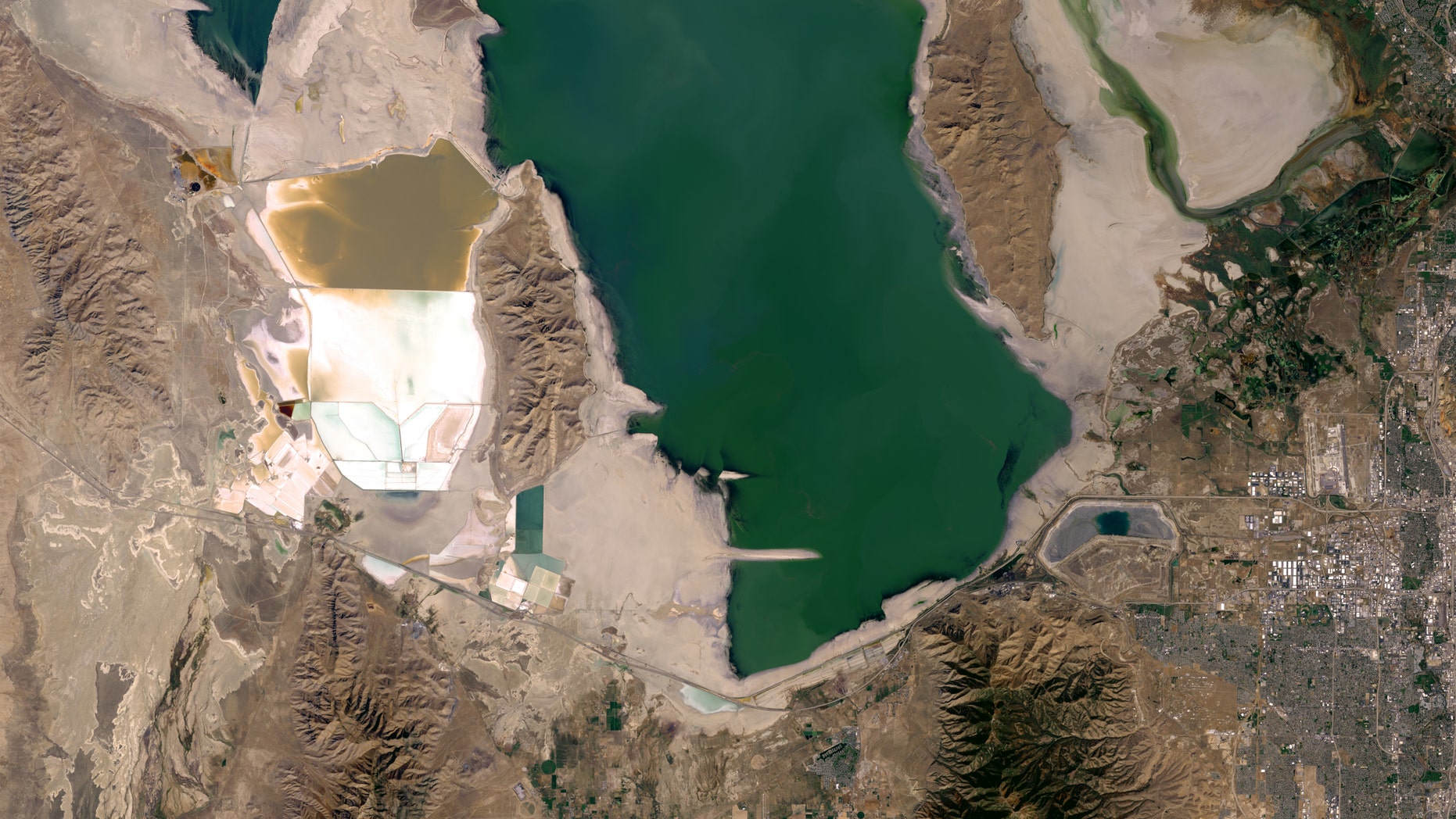 Adults - The City Library homework help great salt lake