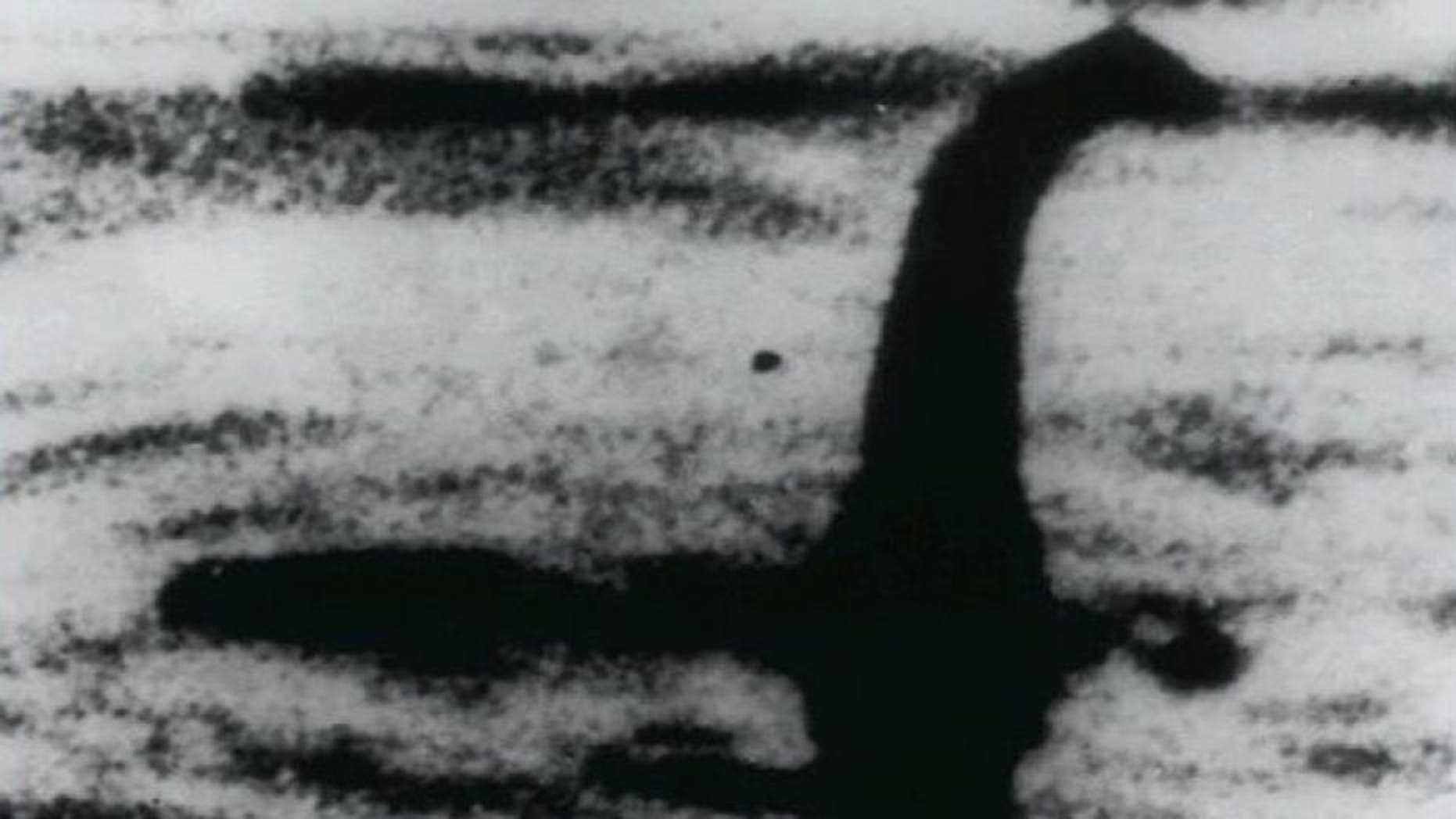 FILE -This is an undated record print of a ghastly figure that some people contend is a print of a Loch Ness beast in Scotland. For hundreds of years, visitors to Scotland's Loch Ness have described saying a beast that some trust lives in a depths. Now a fable of Nessie competence have no place to hide. Researchers will transport there subsequent month to take samples of a ghastly waters and use DNA tests to establish what class live there. (AP Photo, File)