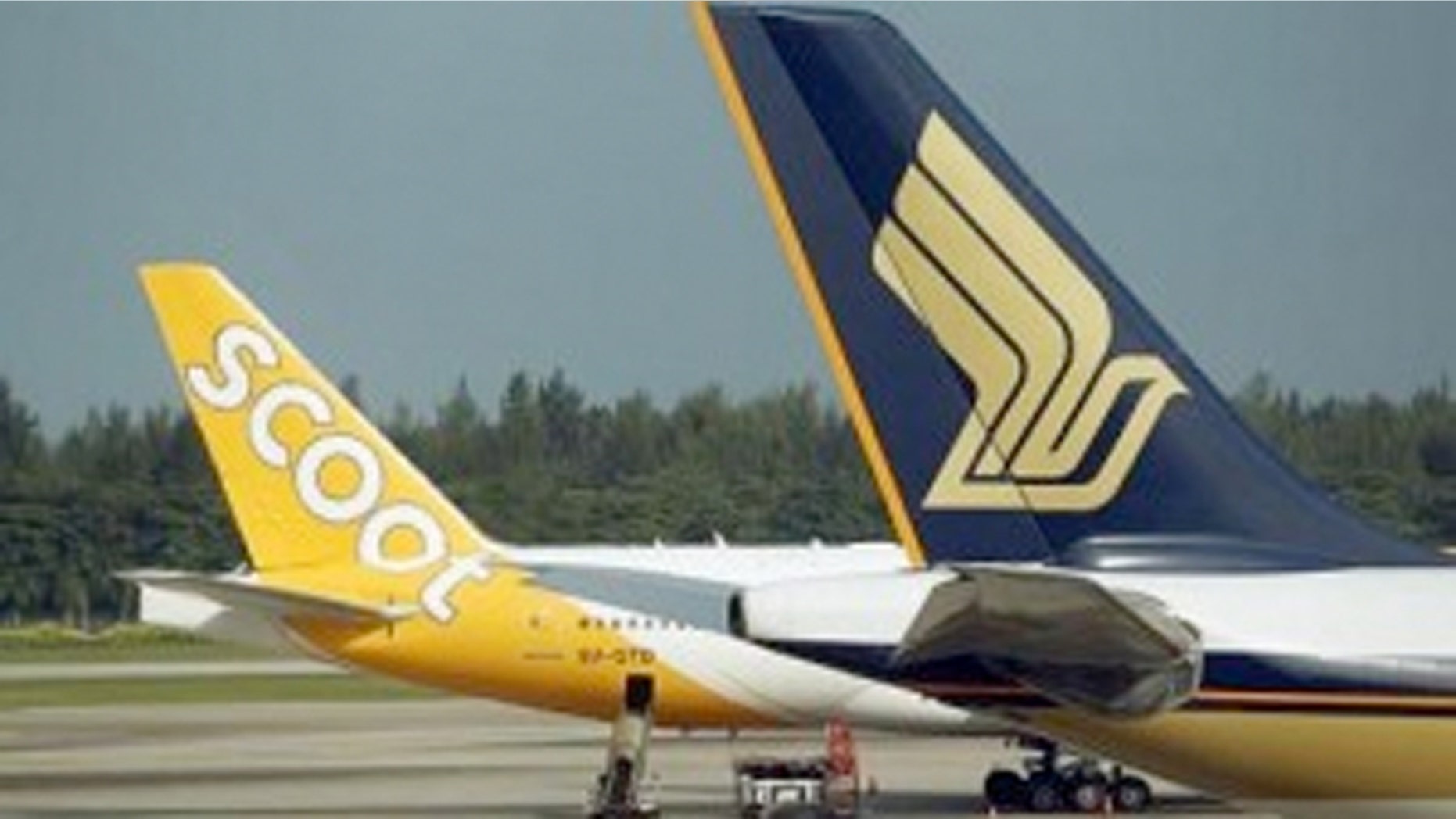 Scoot Airlines, a subsidiary of Singapore Airlines, is offering a child-free cabin for an extra $14.