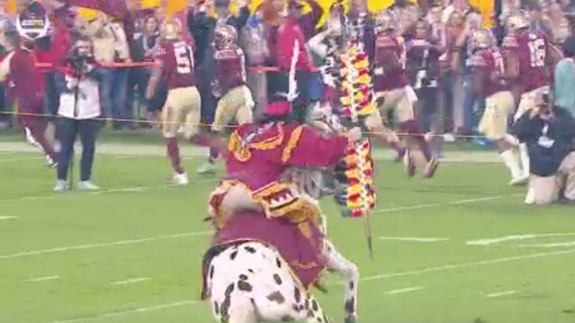 Watch Florida State Mascot Renegade Take A Tumble Prior To The Orange Bowl Fox News