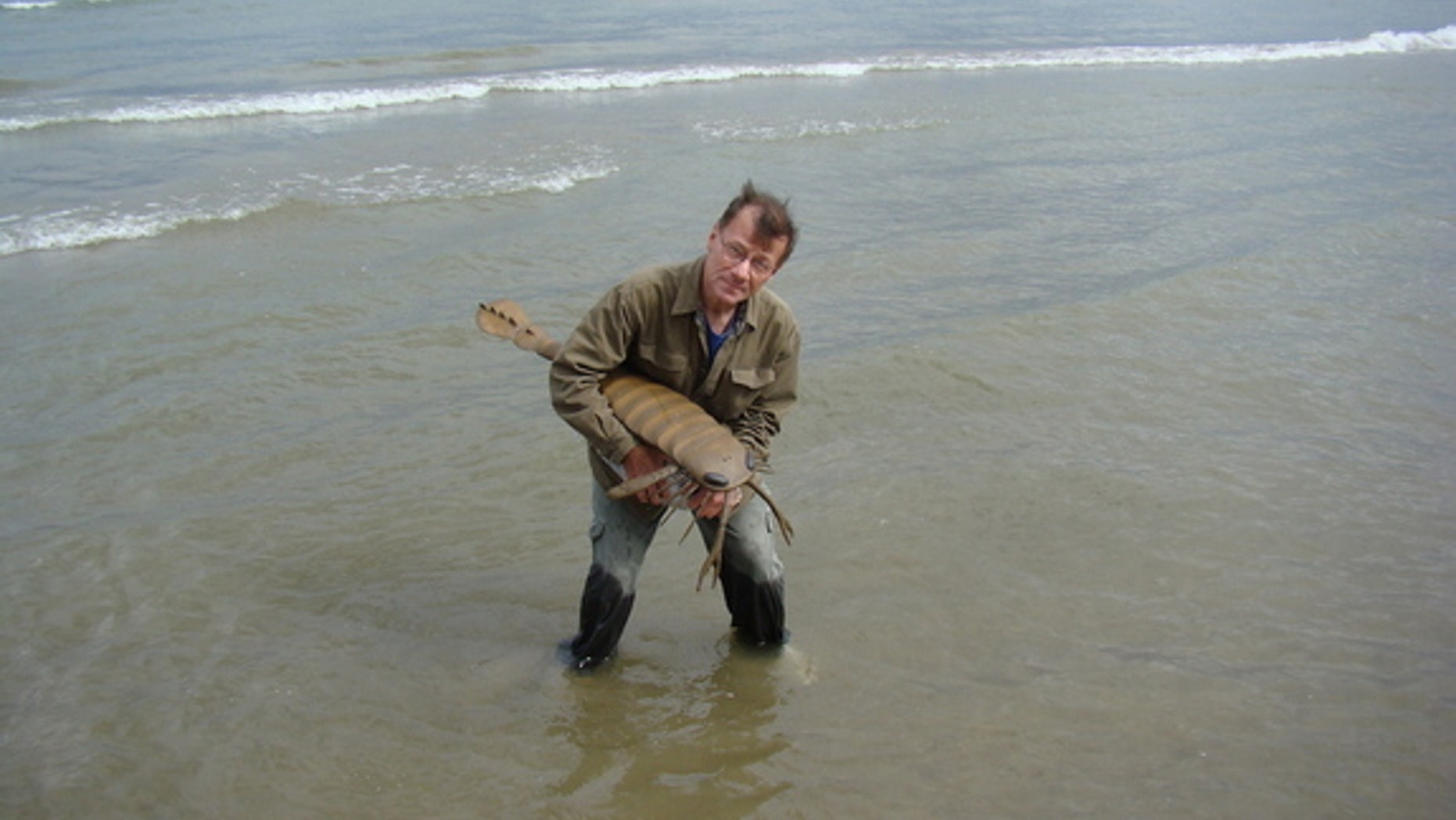 Sam Ciurca, who collected the sea scorpion specimens, with a life size model of one called Acutiramus.