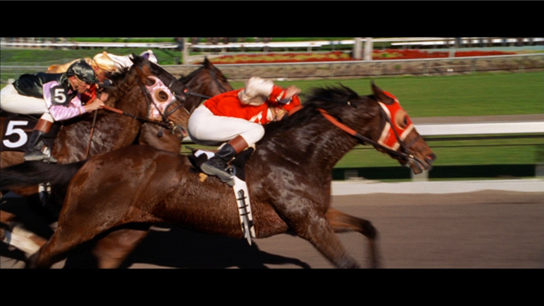 A frame from the film "Seabiscuit," which tells the tale of the legendary racehorse.