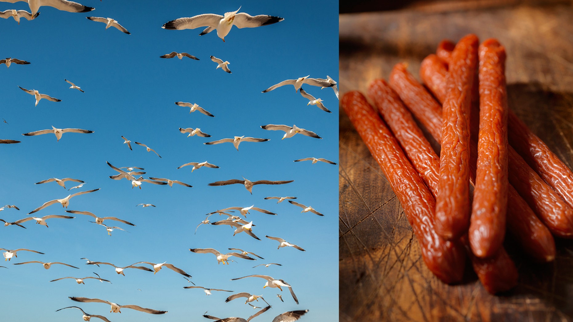 A man's suitcase full of pepperoni led to a hotel room full of seagulls and a lifetime ban he finally got the hotel to revoke.