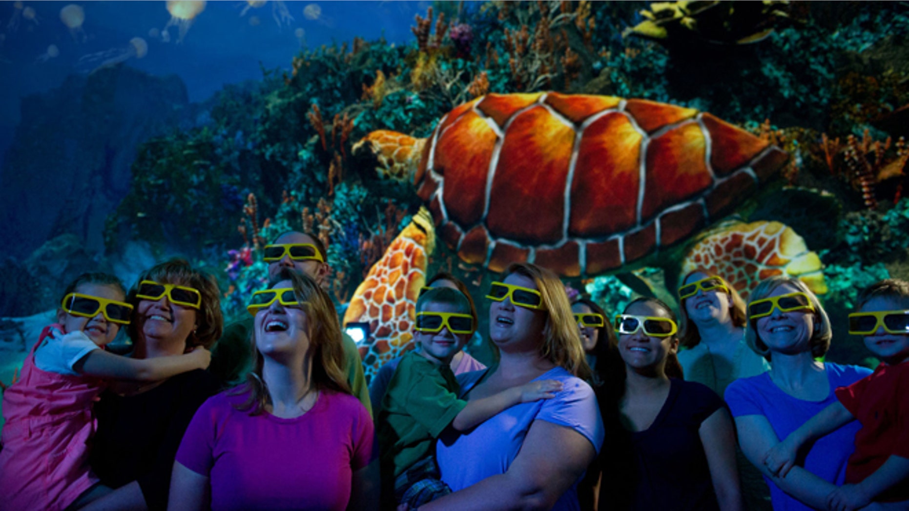 TurtleTrek, the 3-D movie.