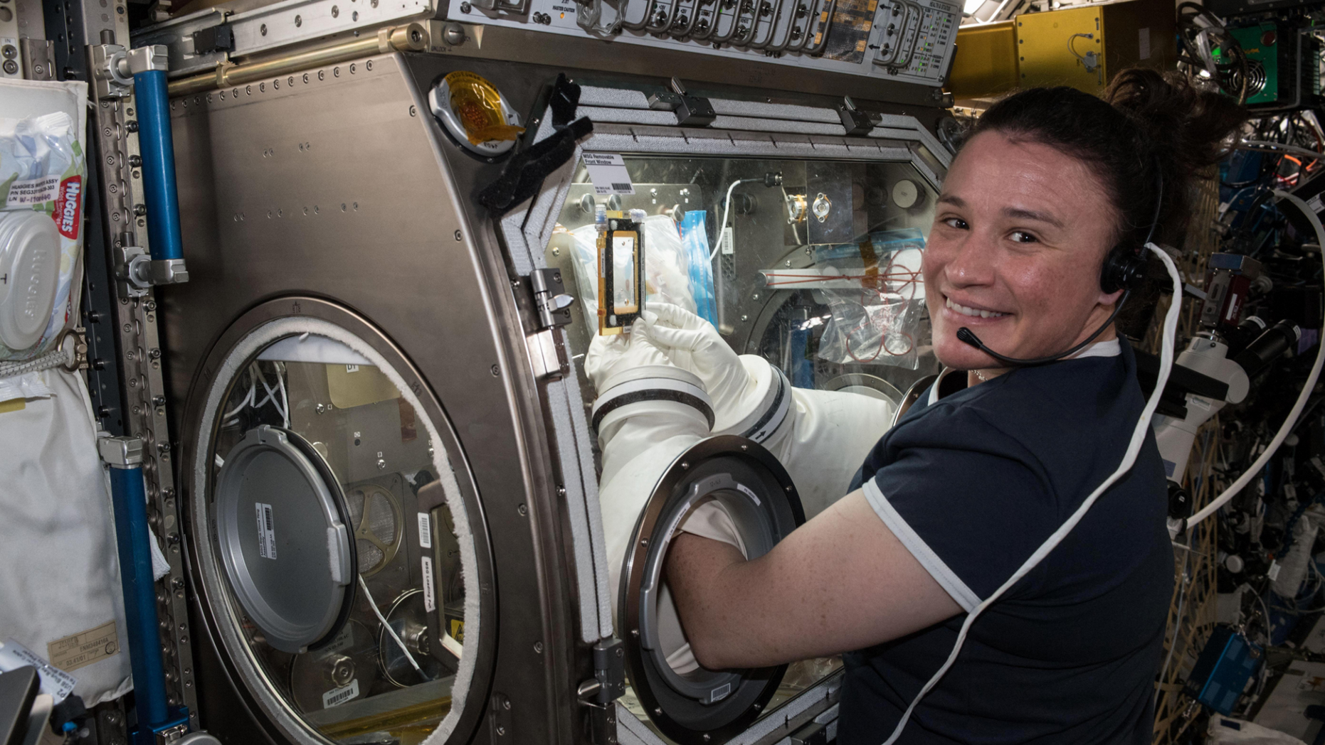 Expedition 56 Flight Engineer Serena Auñón-Chancellor is seen here performing operations for the Angiex Cancer Therapy trials on board the International Space Station.