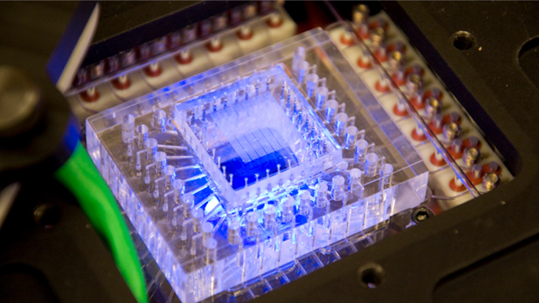 This 1 inch by 1 inch chip is part of the SETG instrument prototype, intended to search Martian soil for life -- and compare it to human DNA.