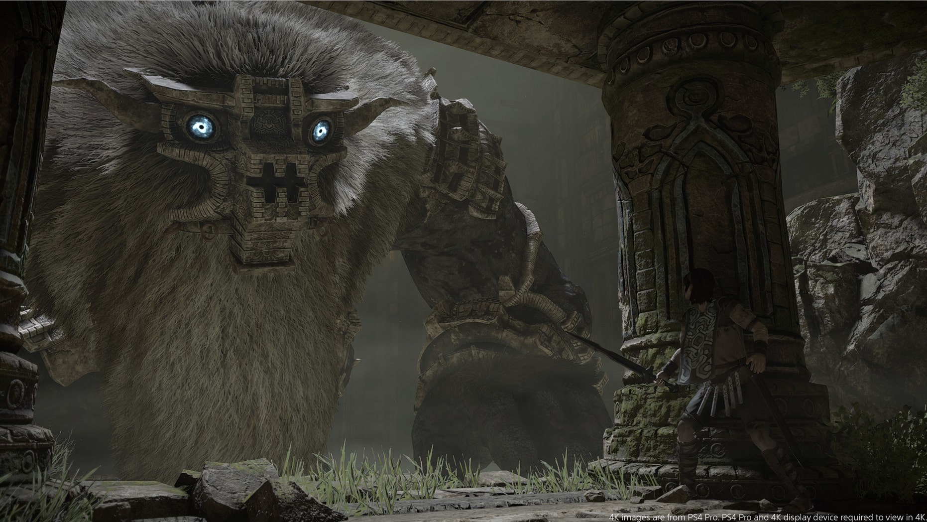Screenshot from "Shadow of the Colossus" (PlayStation/Bluepoint Games)