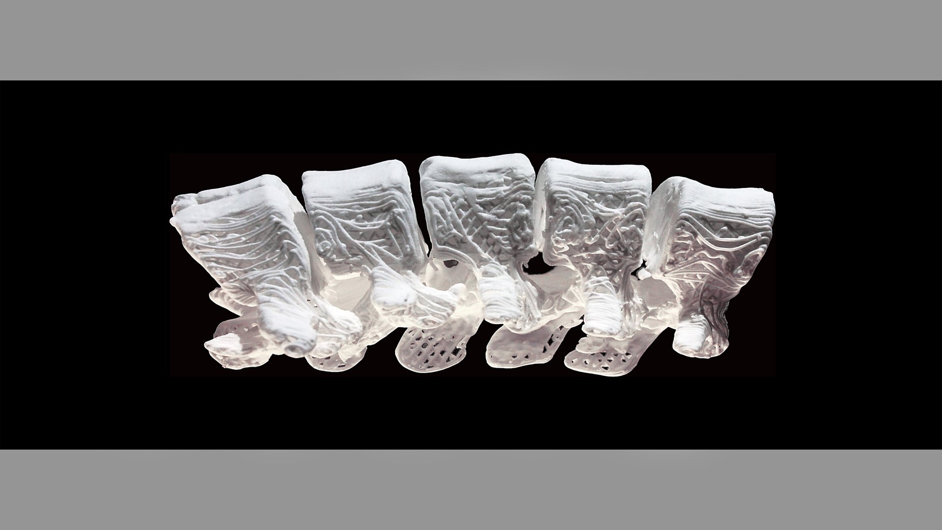 A cross-section of a 3-D printed adult human femur (image courtesy Northwestern University)