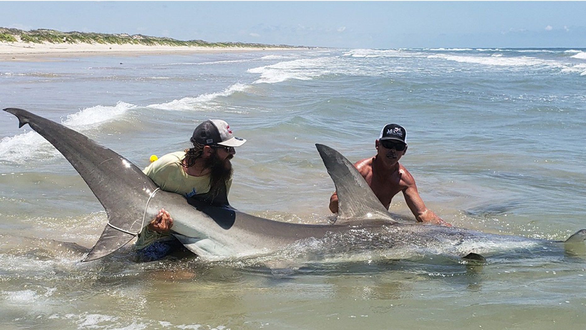 A fisherman and his friend caught a 12-foot hammerhead shark off the gulf coast of Texas.