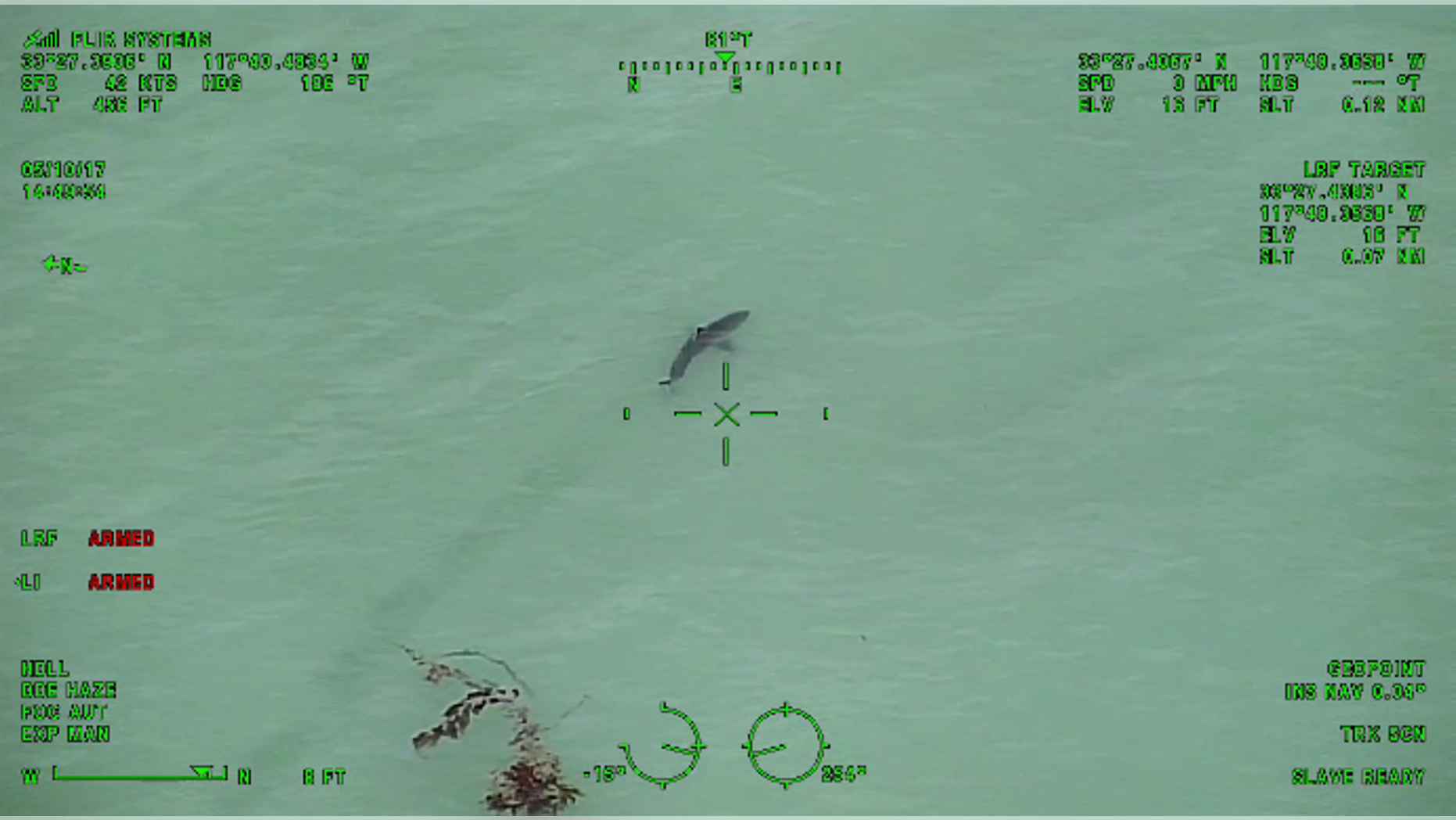 Paddleboarders near the sharks were warned: 'Exit the water in a calm manner.'