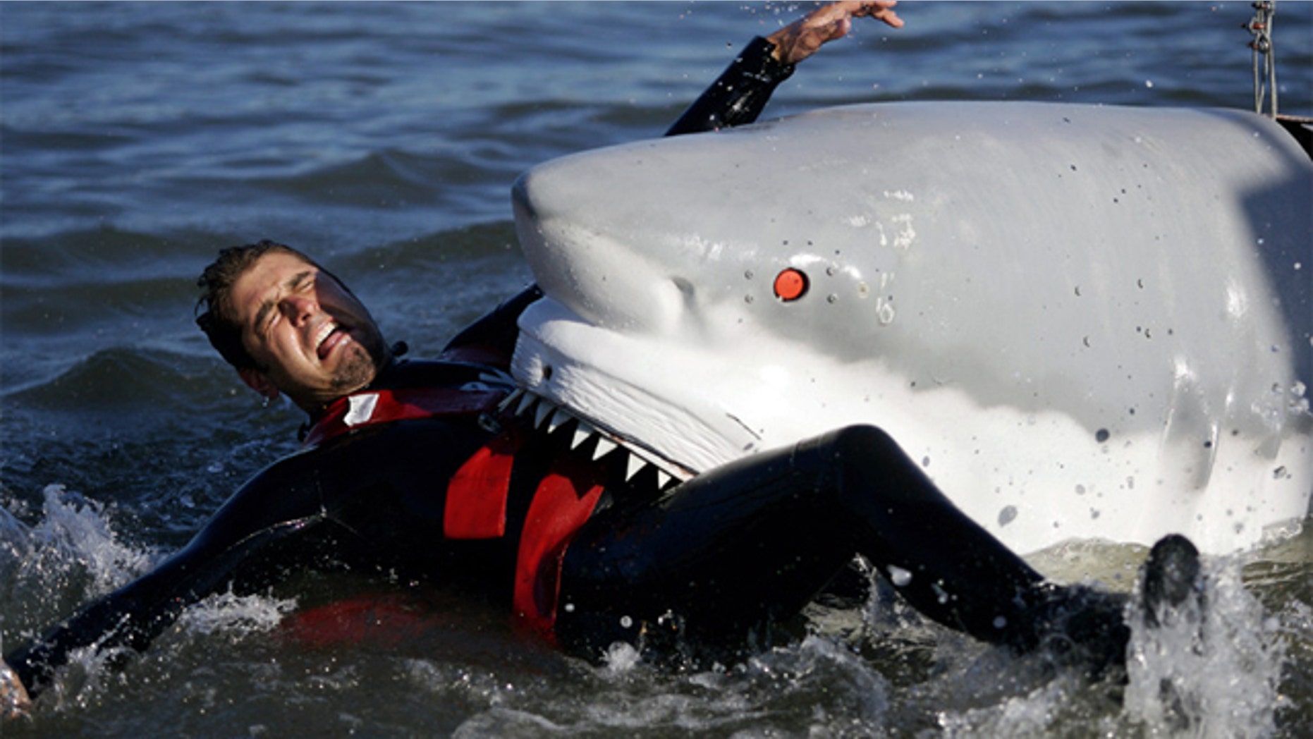 The Discovery Channel is seeking a new CSO -- that's chief shark officer -- to headline it's annual toothy televised treat.